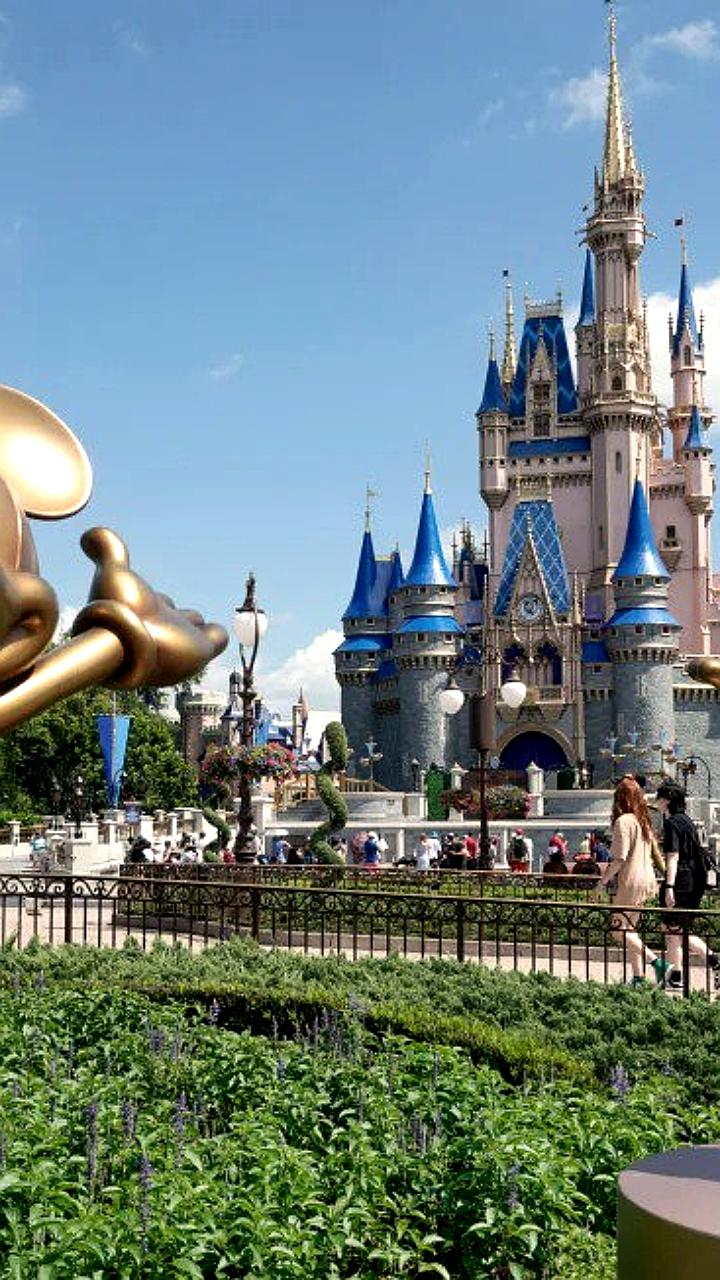 Бывший сотрудник Disney World совершил кибератаку на рестораны парка