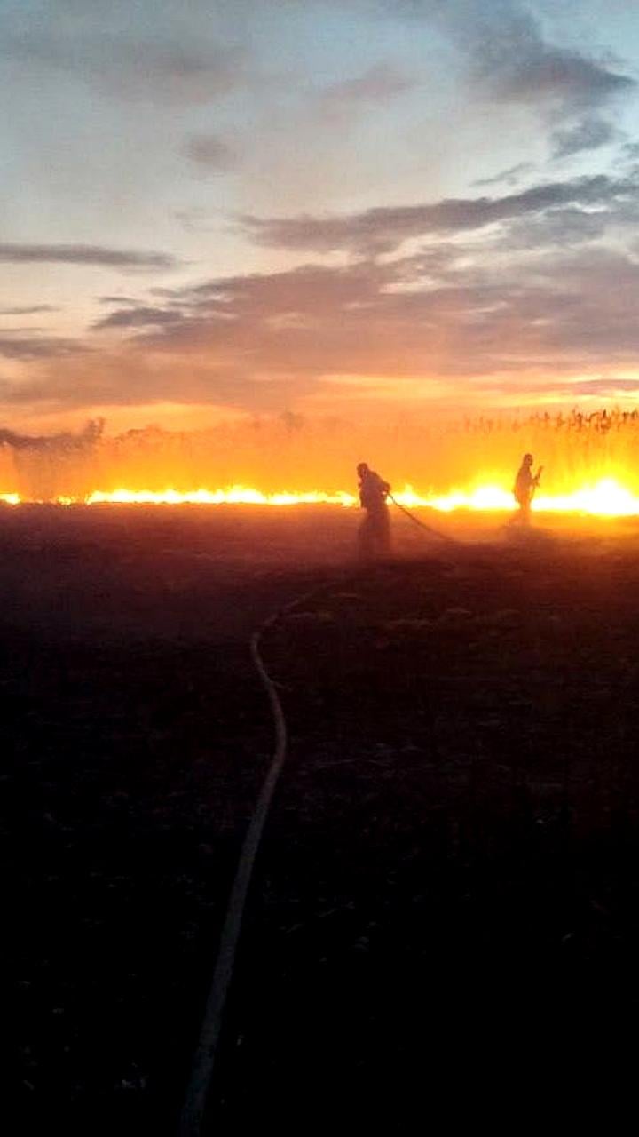 Пожарные ликвидировали возгорание сухой травы в Каменско-Днепровском районе