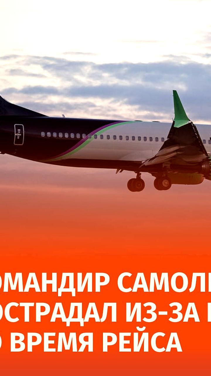 Инцидент с Boeing 737: гусь пробил лобовое стекло и травмировал пилота