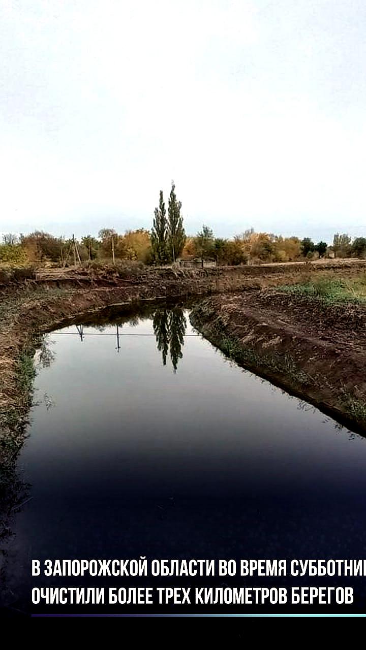 Жители Запорожской области очистили более трех километров берегов в рамках акции «Вода России»