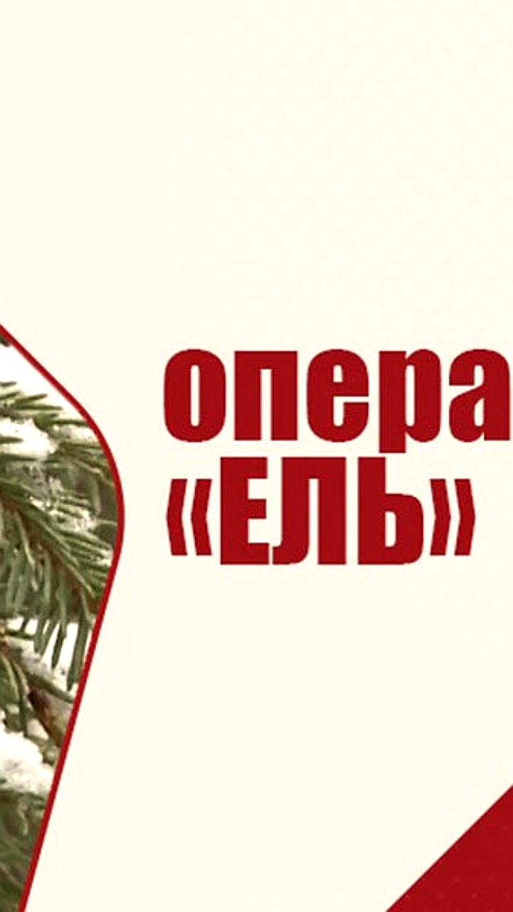 Ужесточение мер против незаконной рубки хвойных деревьев в России