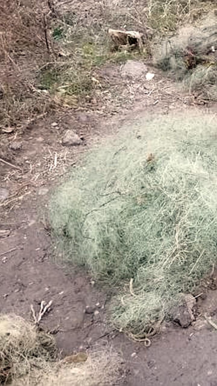 Пограничники задержали браконьера и оштрафовали владельца теплохода за нарушение границы