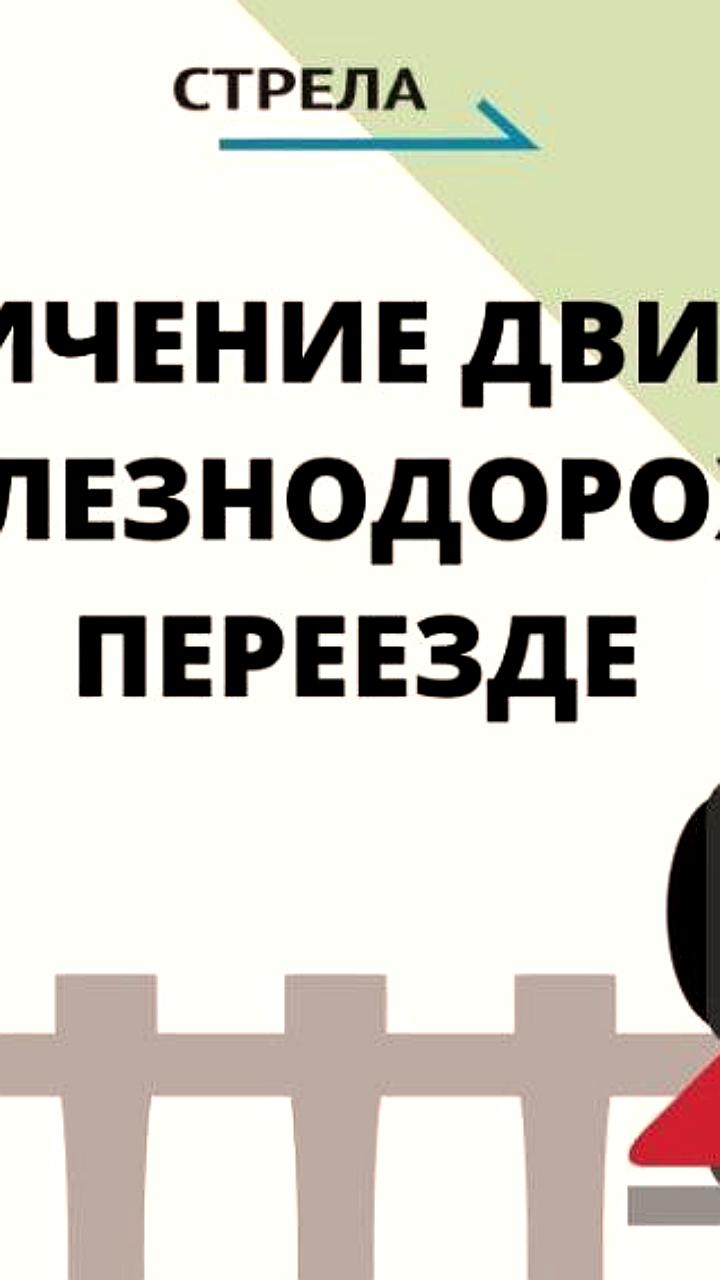 В Санкт-Петербурге вводятся новые ограничения на дороги с 10 по 12 ноября