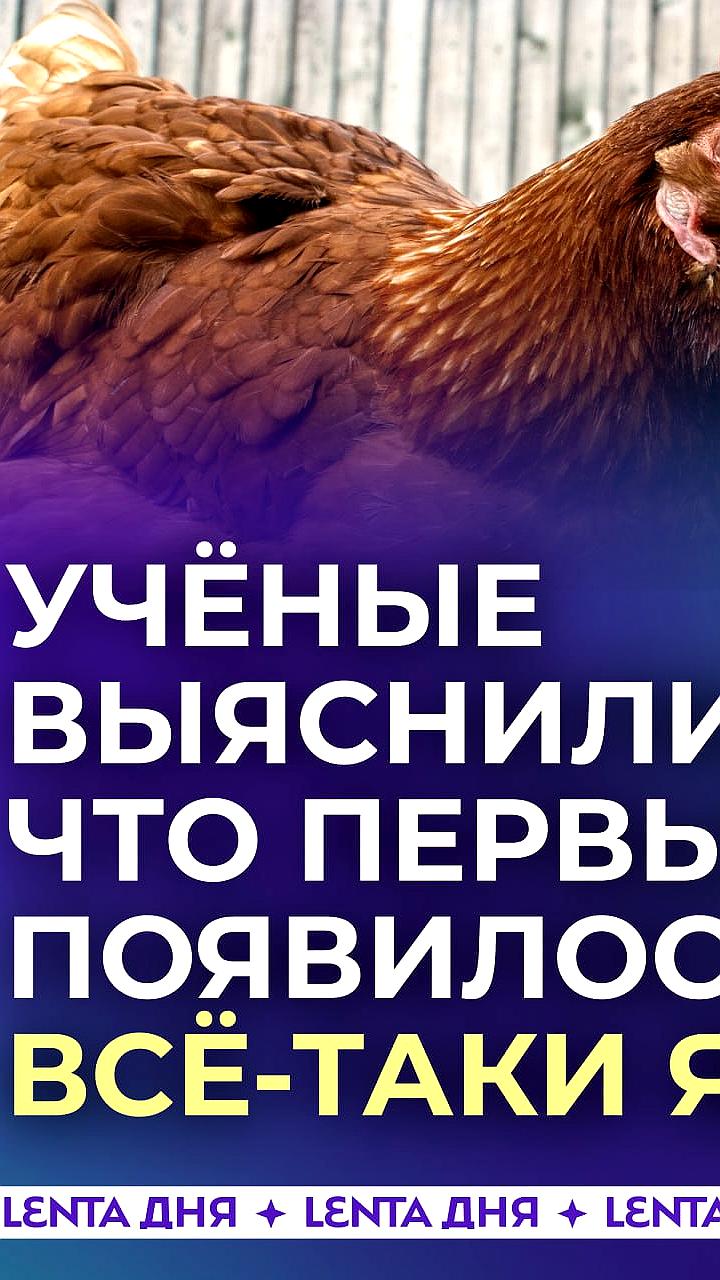 Учёные из Женевского университета раскрыли тайны эволюции многоклеточных организмов