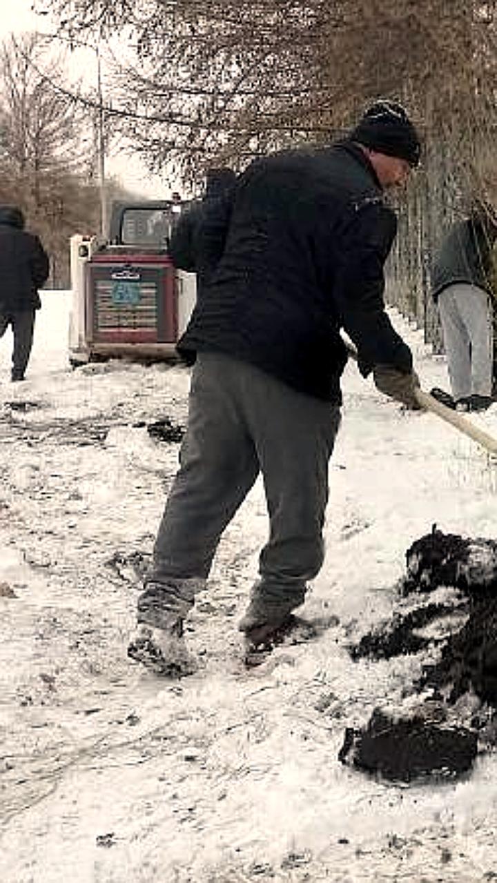 В Челябинске завершена высадка 200 сосен вдоль дороги в аэропорт