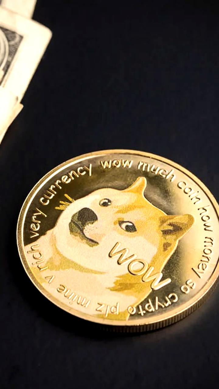 Dogecoin вырос на 20% после создания департамента DOGE Трампом