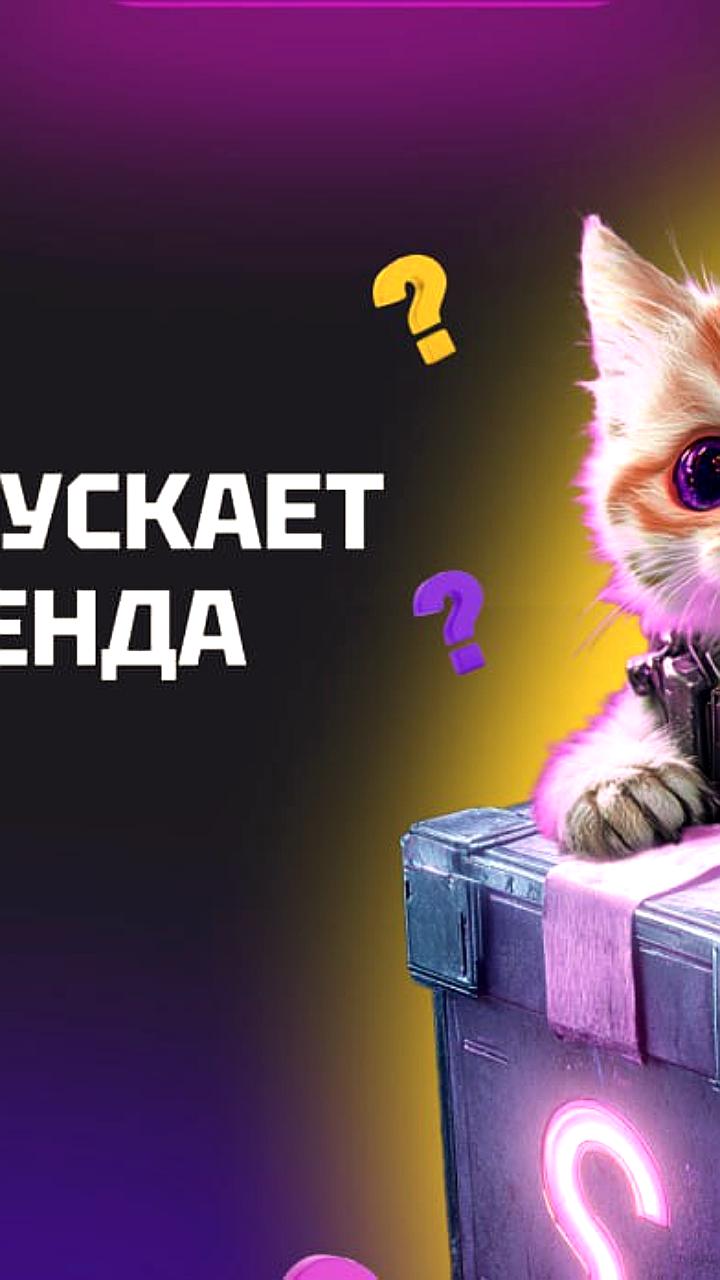 CatAffs анонсирует запуск двух новых проектов на SiGMA Europe
