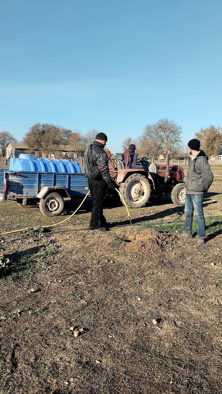 В Севастополе и Каланчакском округе высажены тысячи саженцев деревьев для улучшения экологии