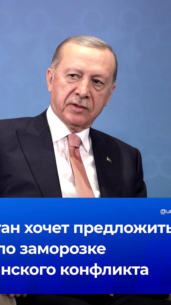 Эрдоган предложит заморозить конфликт на Украине на саммите G20 в Бразилии