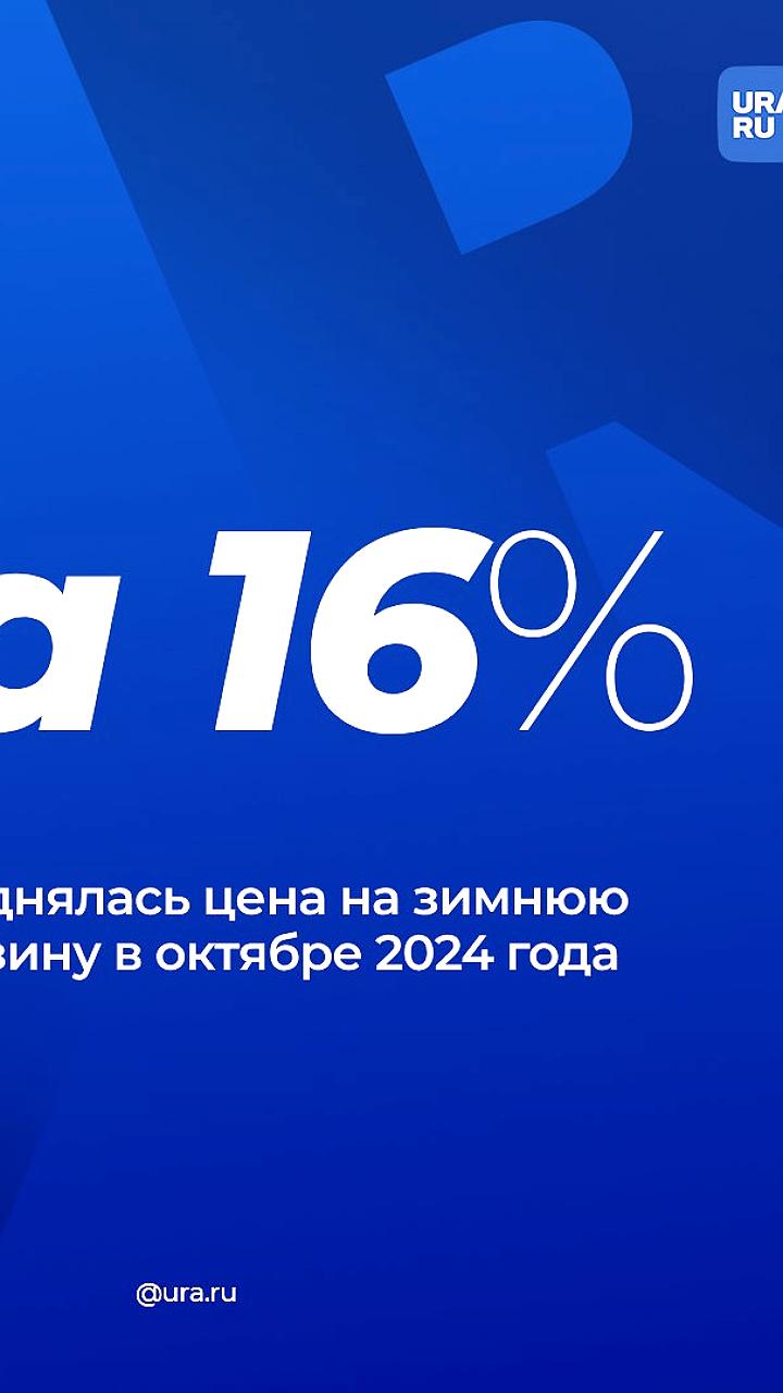 Снижение продаж зимних шин и рост интереса к летним в октябре 2024 года