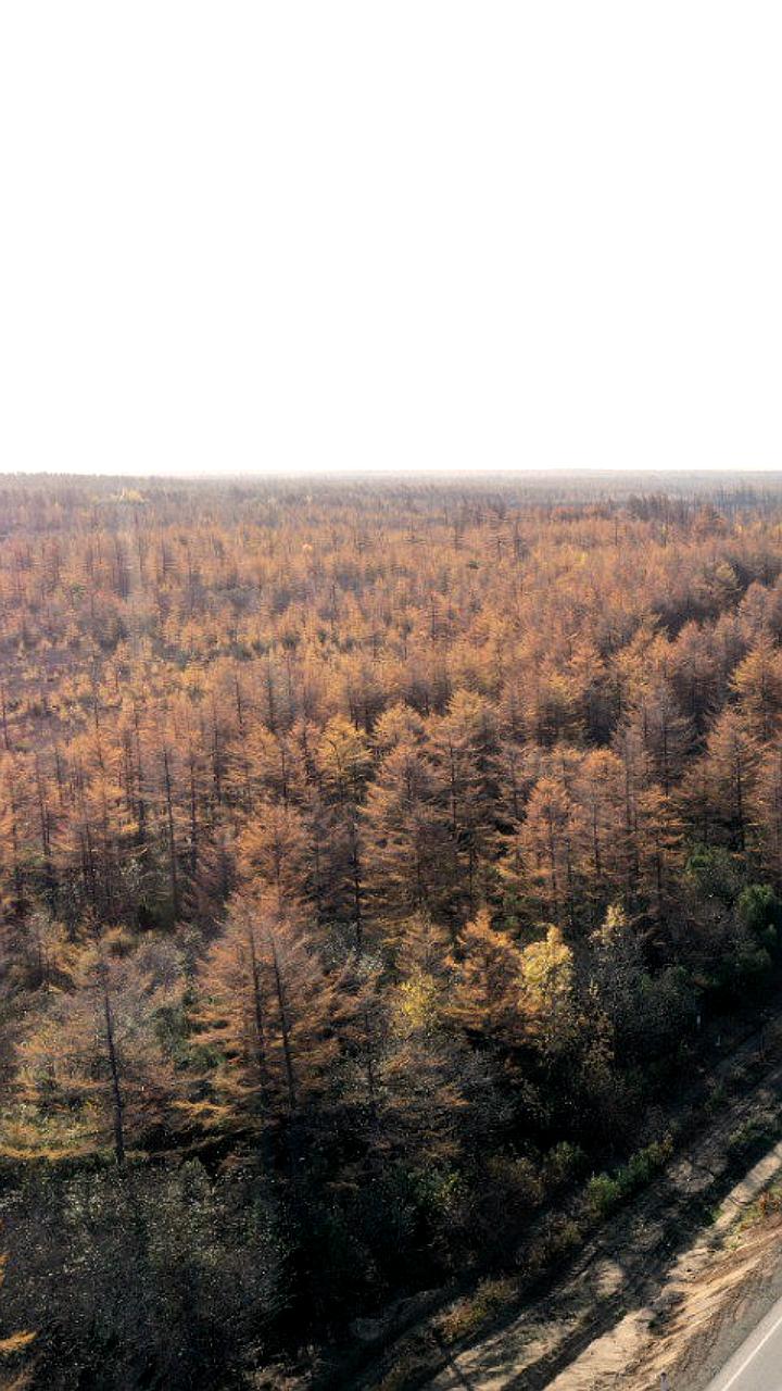 Завершено асфальтирование дороги от Южно-Сахалинска до Ноглик и улицы Набережной в Троицком