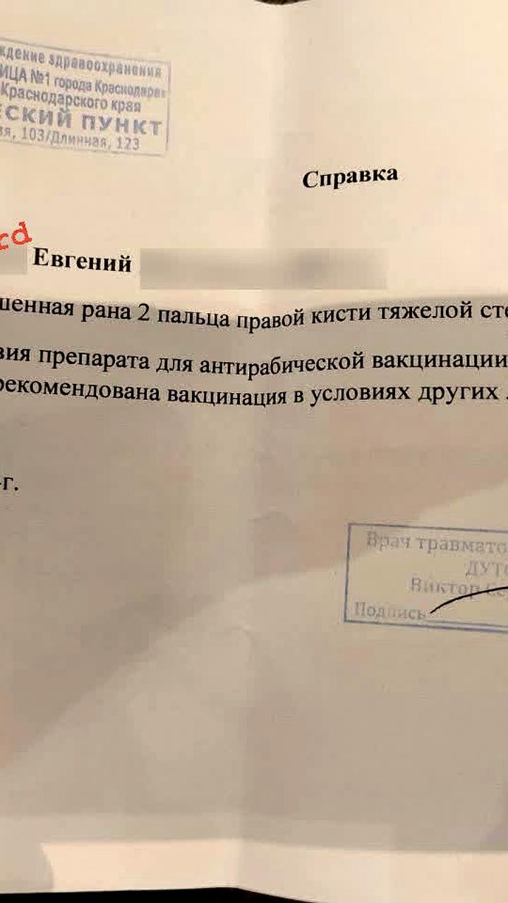 Дефицит вакцины от бешенства в Краснодаре: житель столкнулся с трудностями после укуса