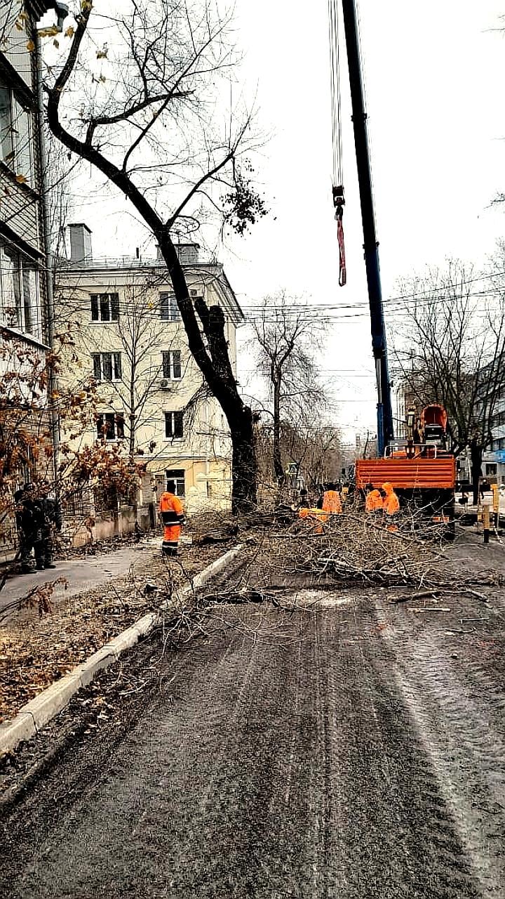 Реконструкция улицы Свободы в Воронеже: работы продолжаются