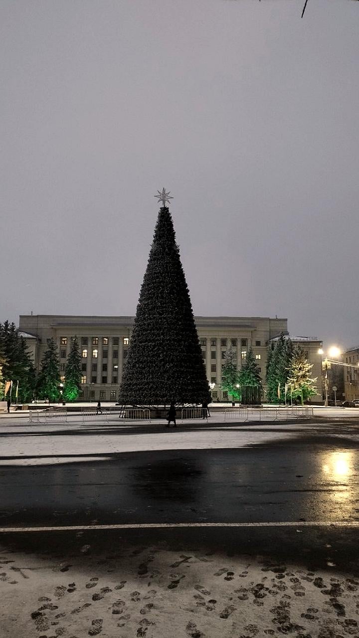 В Нижнем Новгороде и Кирове установлены новогодние елки