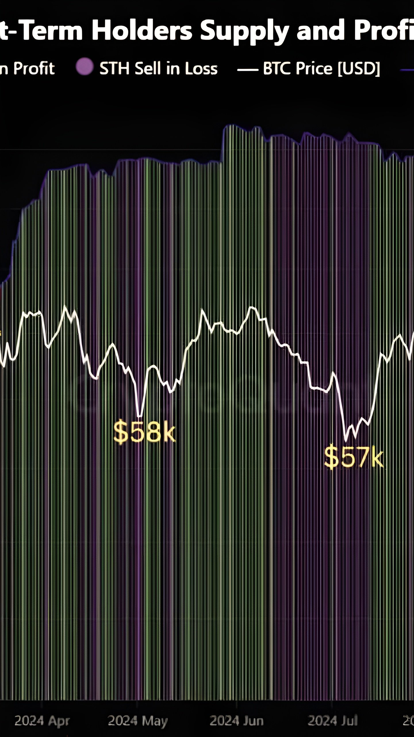 Новый рекорд притока средств в Bitcoin ETF в ноябре достиг $6,2 млрд