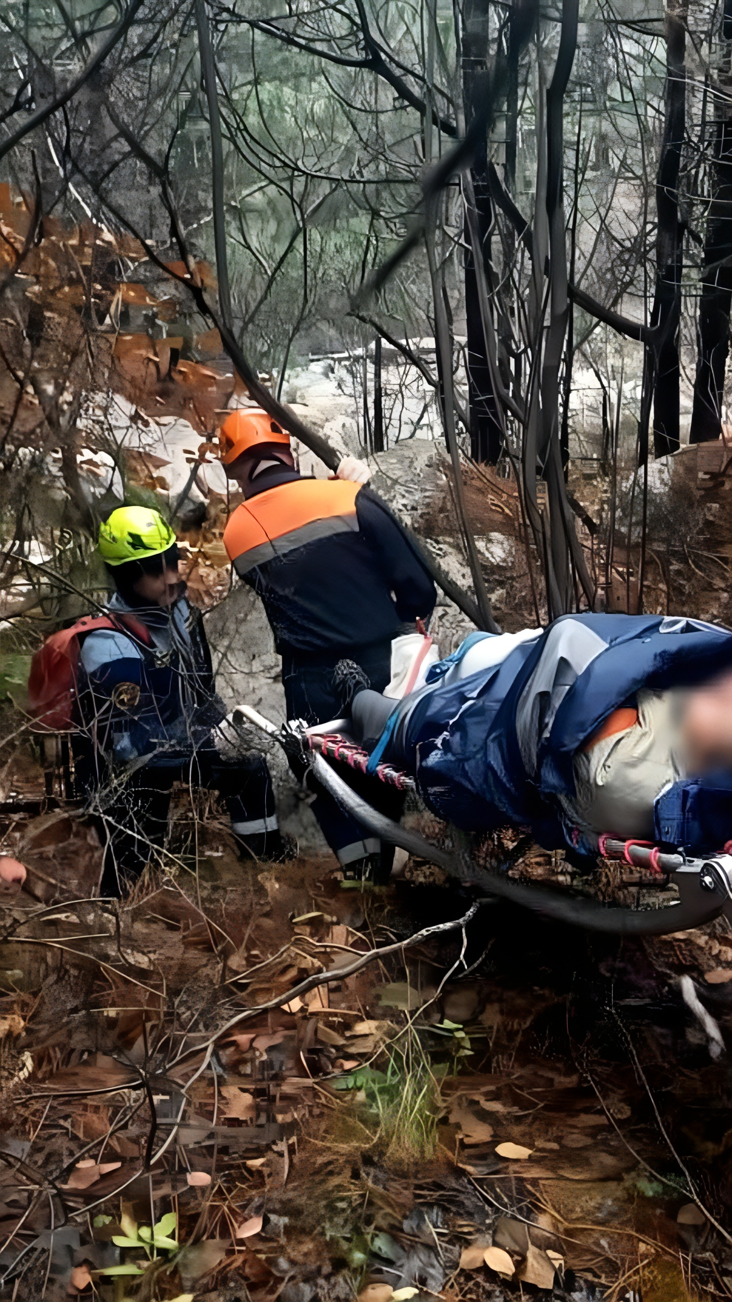 Спасатели оказали помощь женщинам, пострадавшим во время прогулок в лесу и ущелье