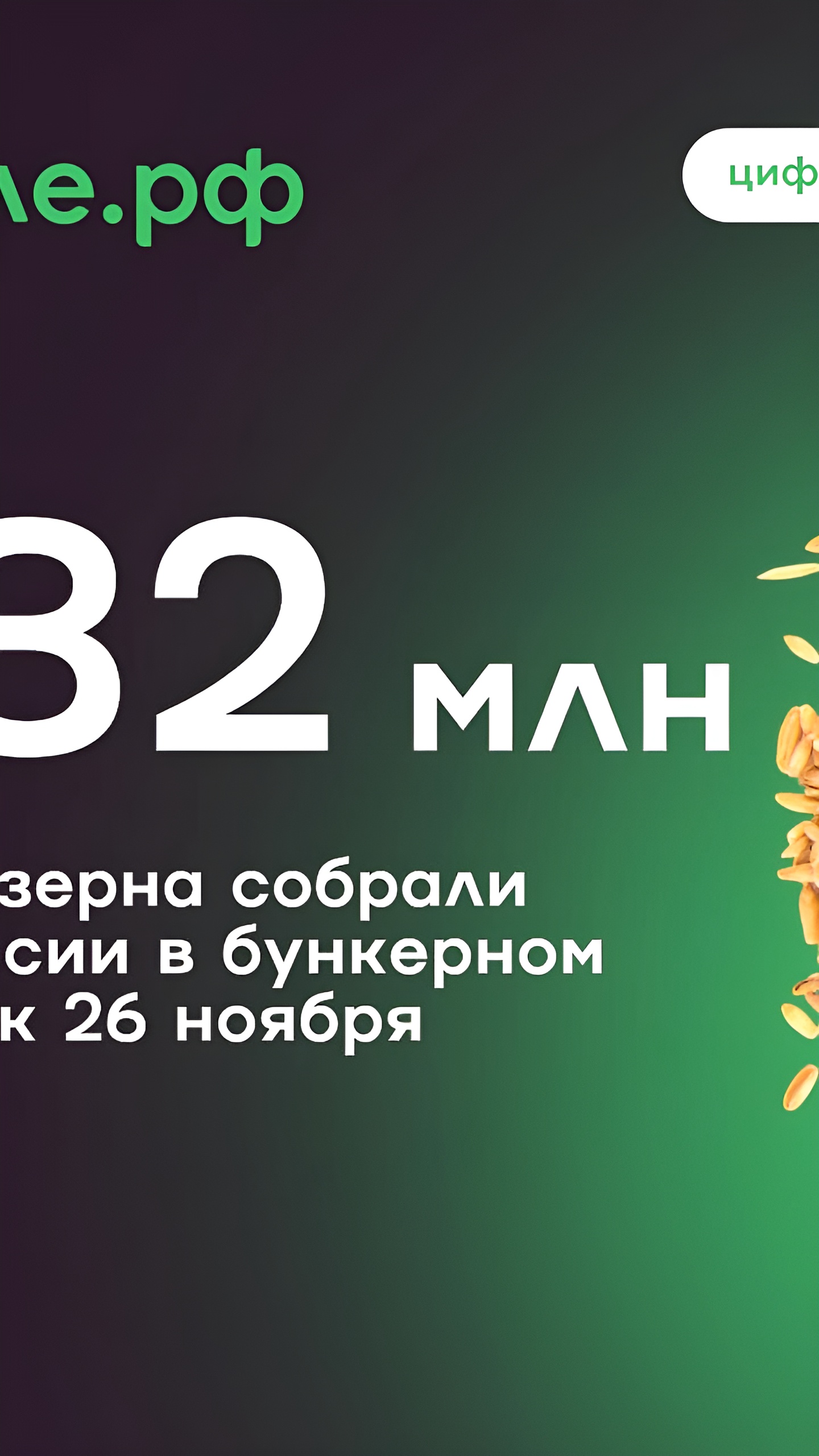 Прогнозы по урожаю зерна на 2025/26 улучшаются, несмотря на снижение в текущем сезоне