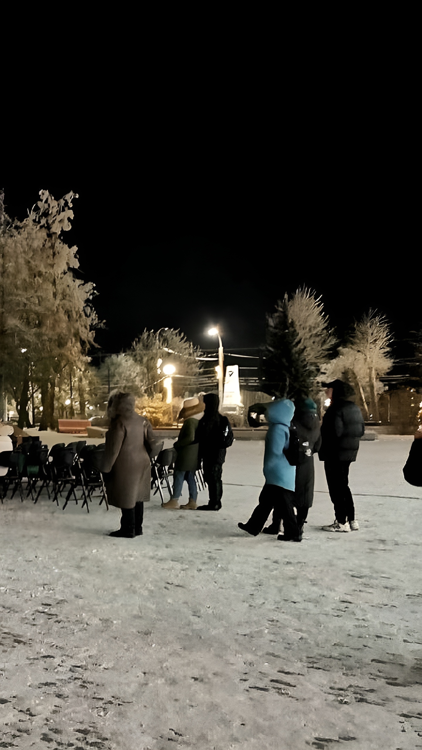 Фестиваль ARCTIC OPEN: Кино под открытым небом в Архангельске и малых городах