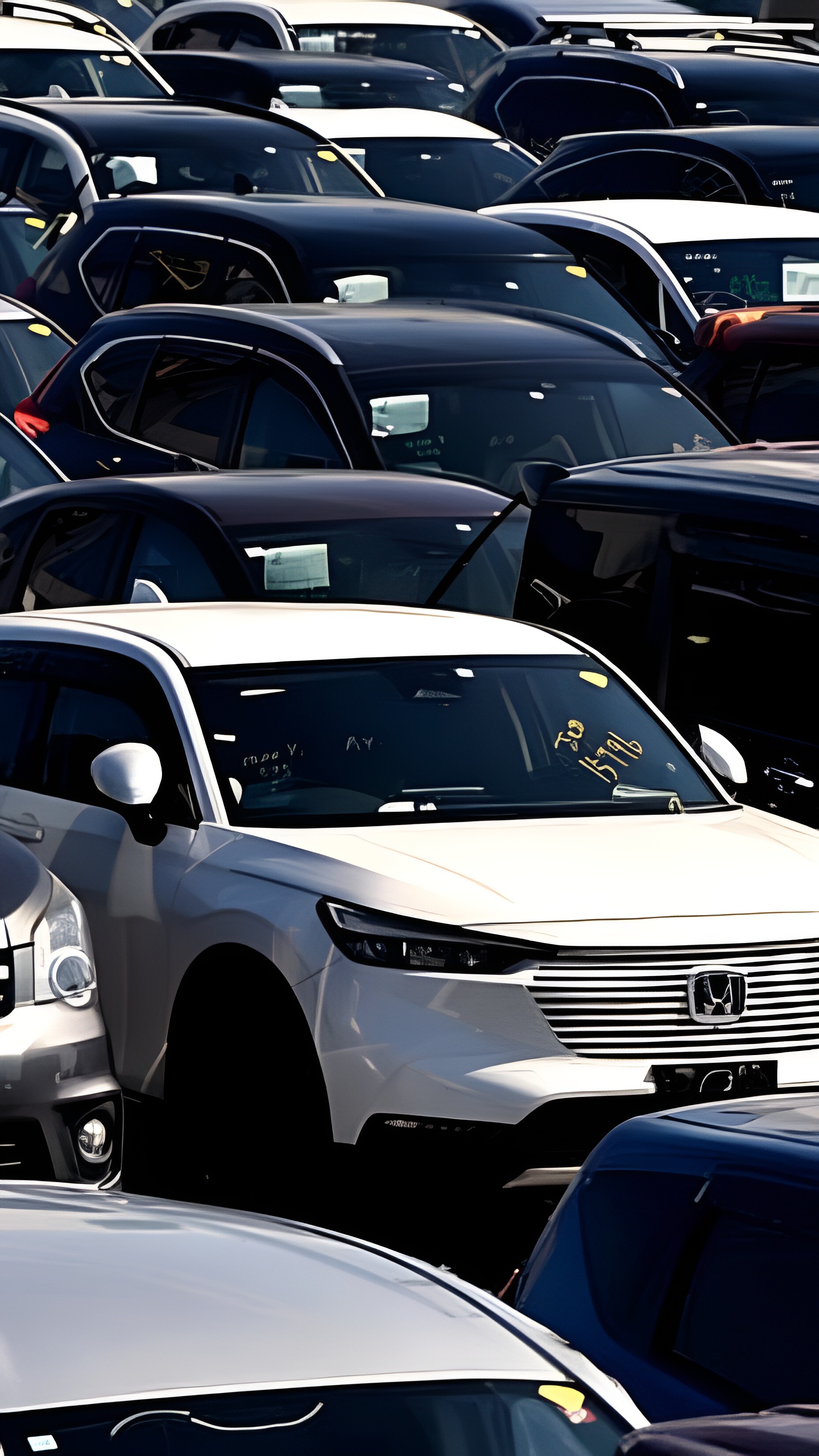 Аналитики прогнозируют снижение продаж легковых автомобилей в России на 10% в 2025 году