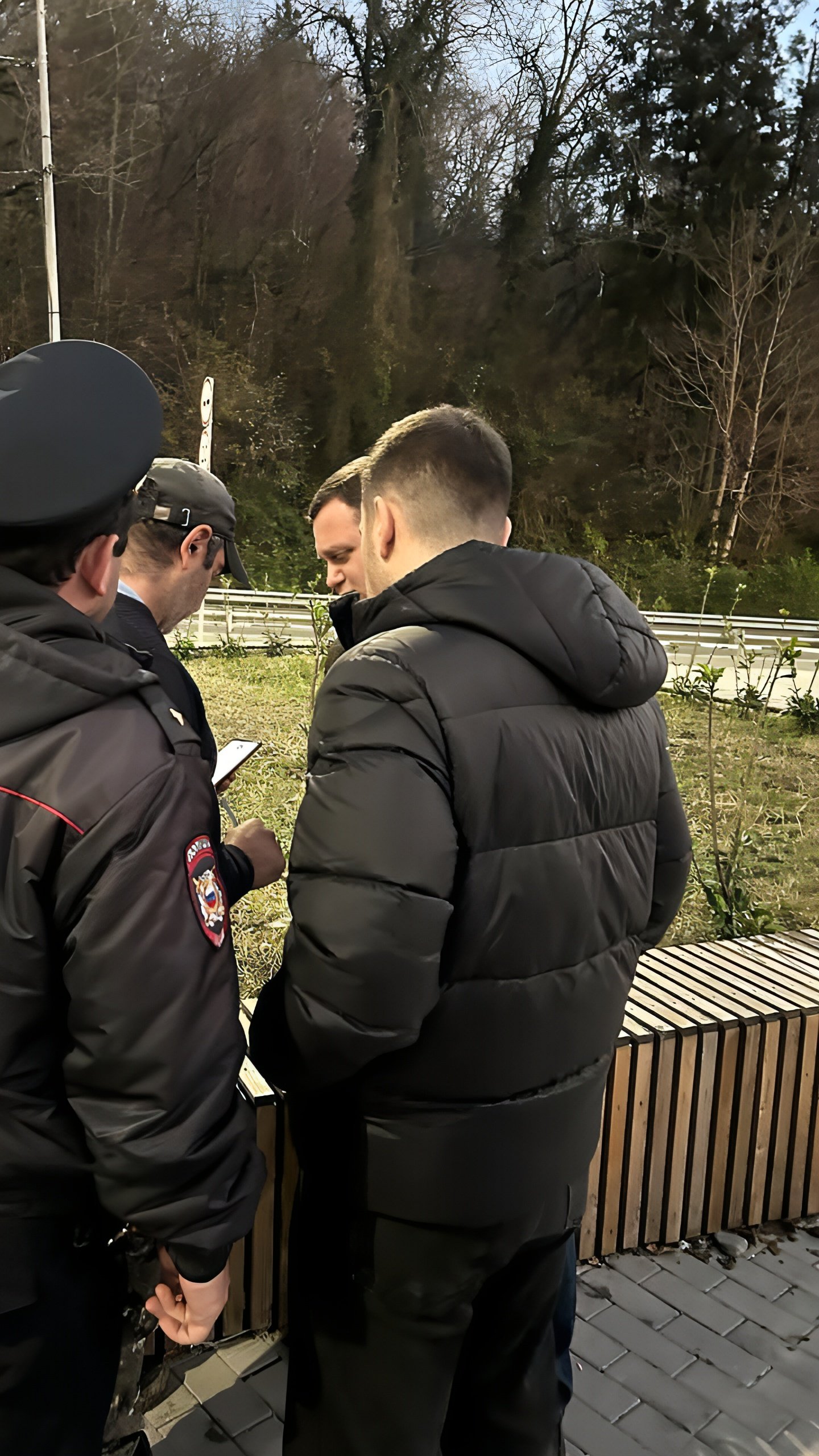 В Сочи задержан бык, владелец привлечен к ответственности