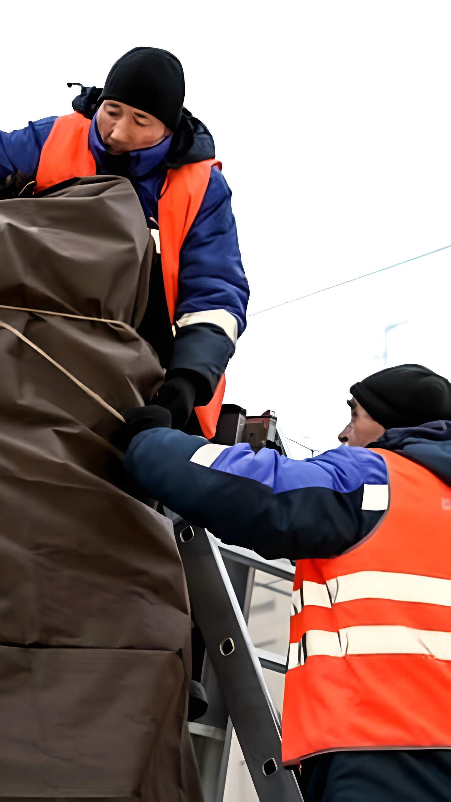 Ульяновск запускает программу компенсации расходов на высадку деревьев и кустарников