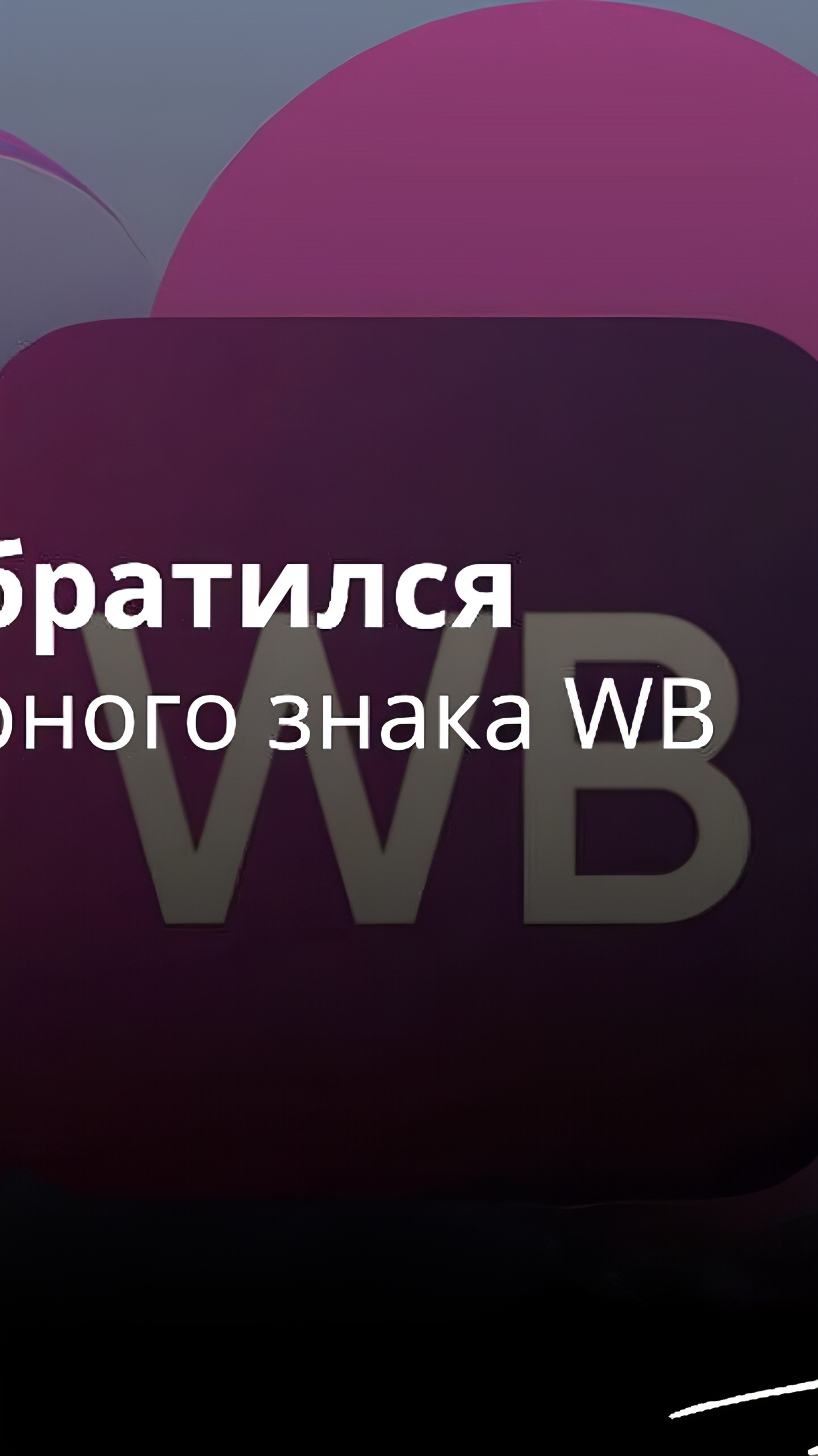 Владислав Бакальчук оспаривает решение Роспатента о товарном знаке Wildberries