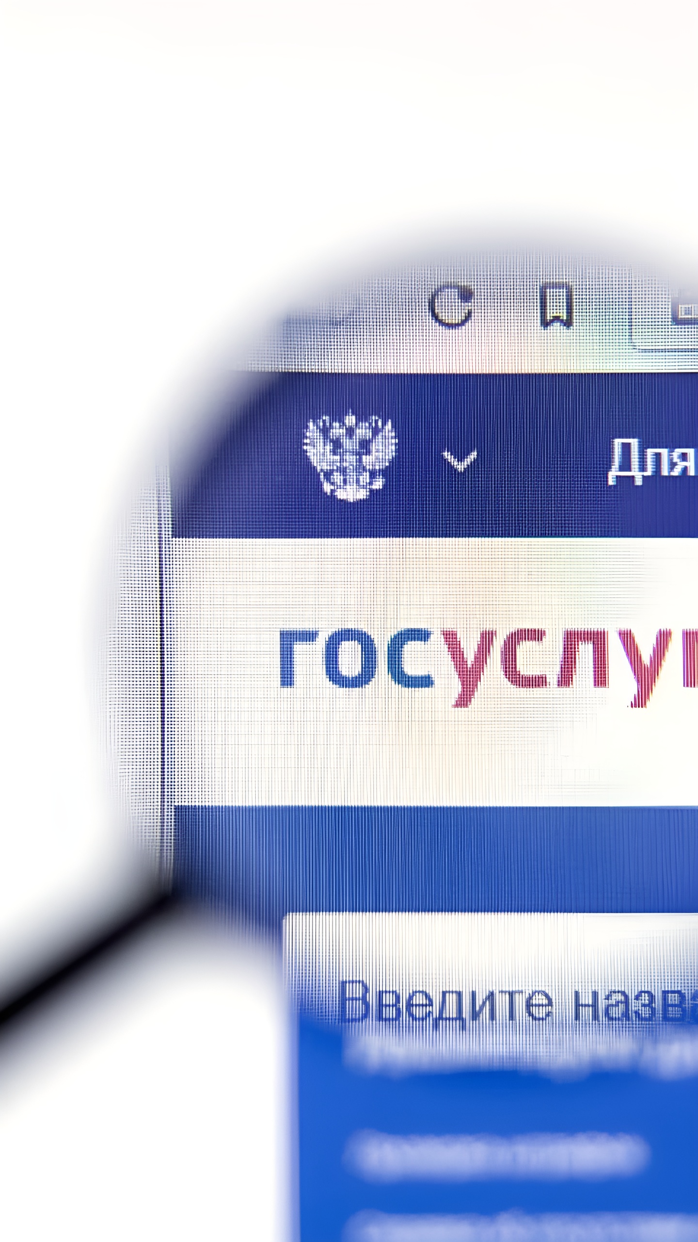 Минцифры не планирует отключение аккаунтов россиян на 'Госуслугах' с gmail