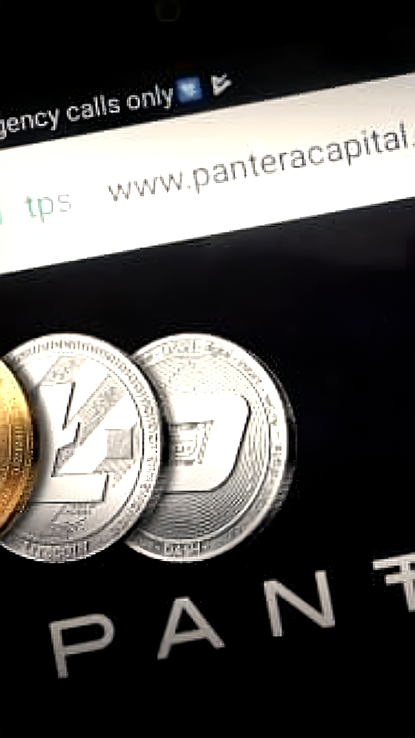 Pantera Capital выделяет TON и другие альткоины как перспективные инвестиции к 2025 году