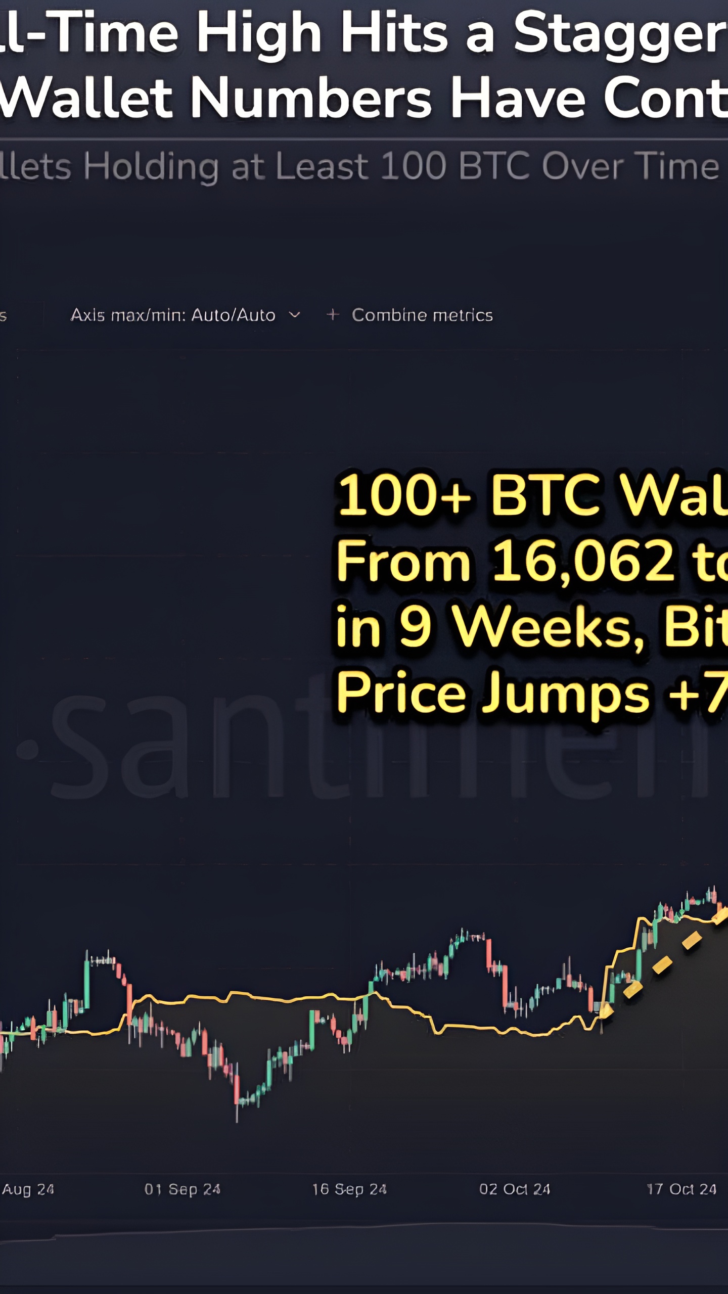 Киты продолжают накапливать Биткоин на фоне роста его цены до $106,5K