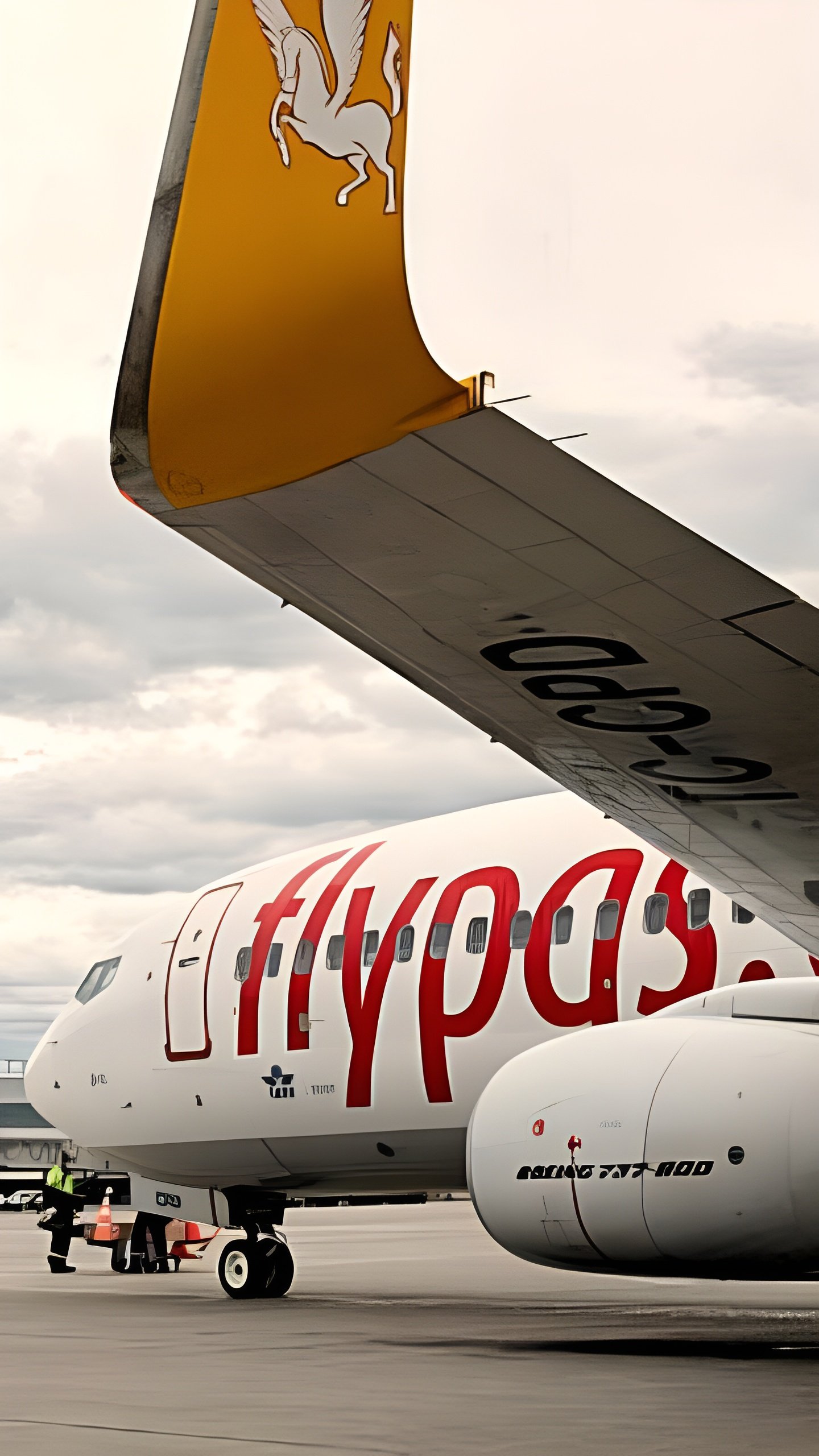 Pegasus Airlines удваивает рейсы из Петербурга в Стамбул с января