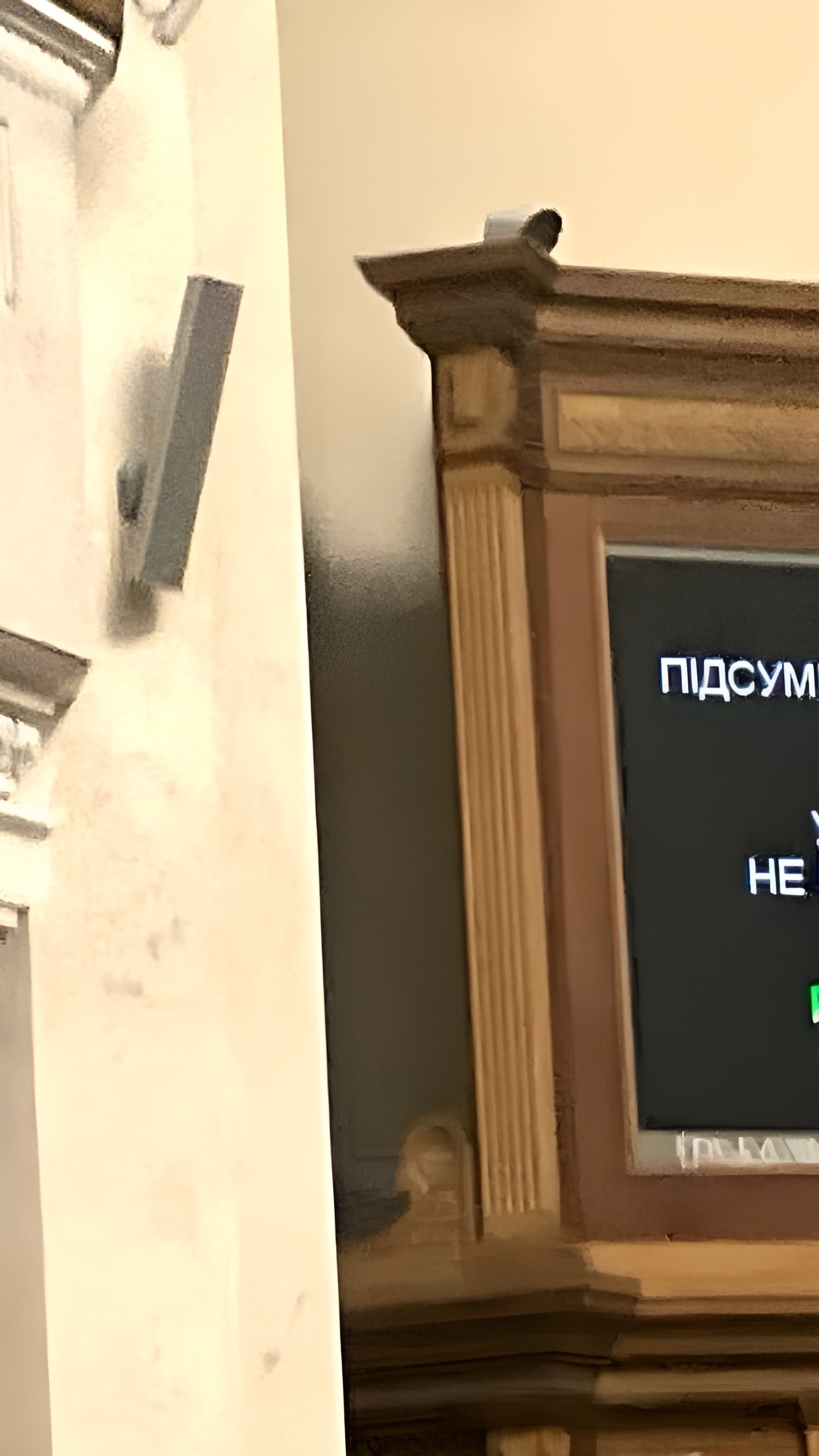 Верховная Рада Украины поддержала законопроект о множественном гражданстве