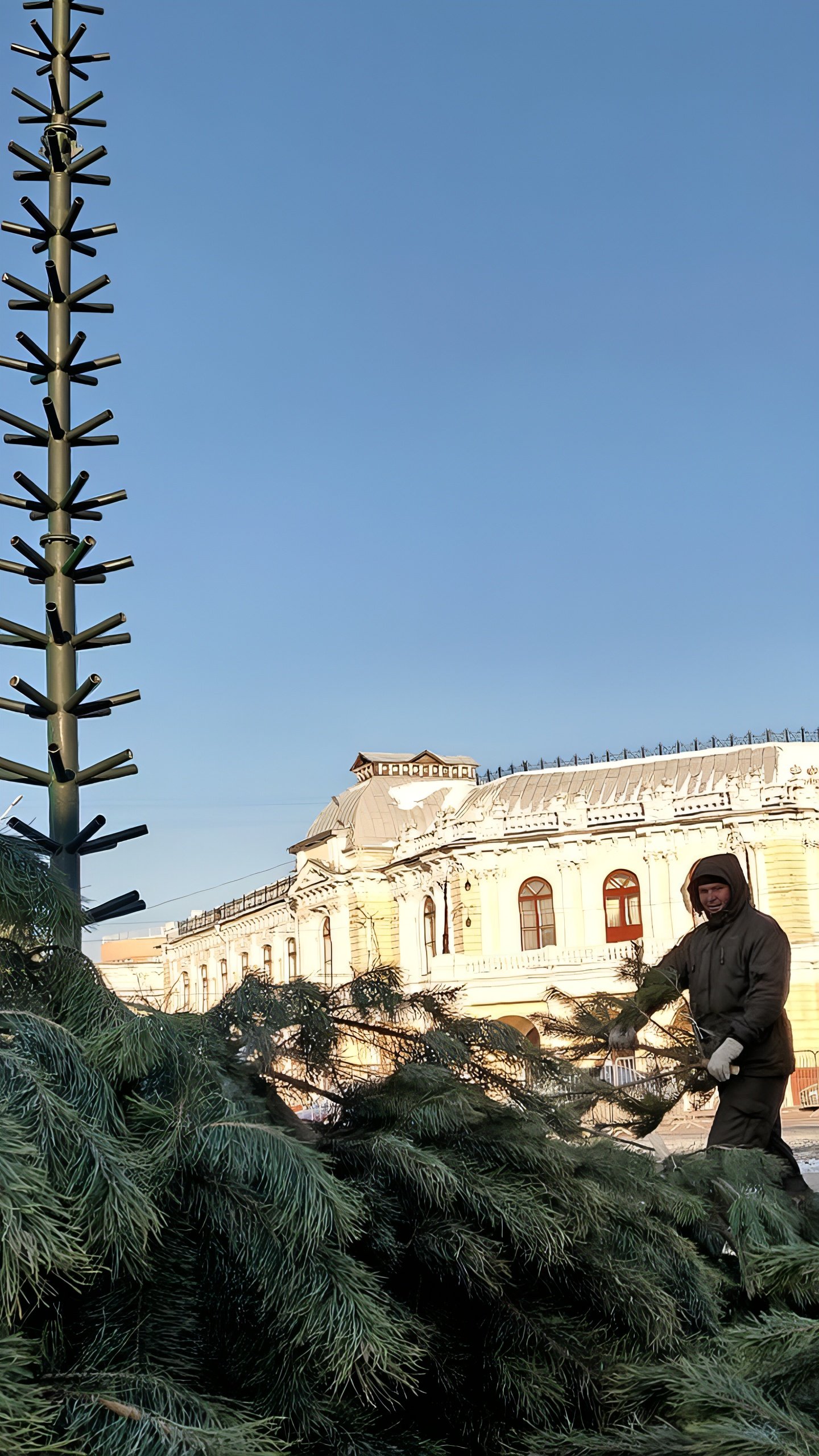 В Тамбове установили главную новогоднюю ёлку на площади Ленина