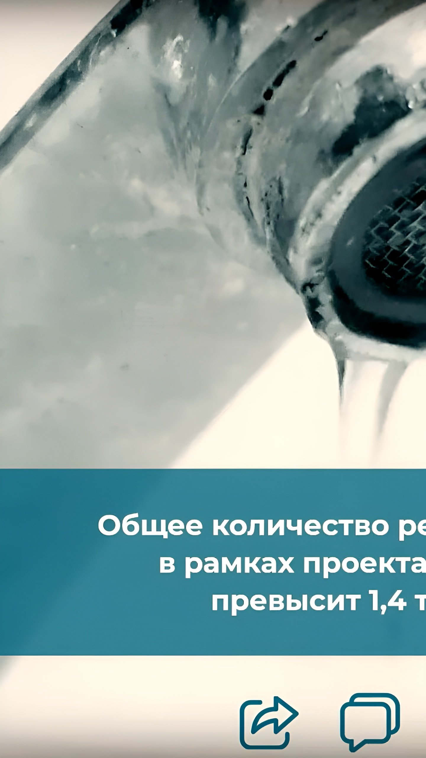 Финансирование на модернизацию водоснабжения направлено в 10 регионов России