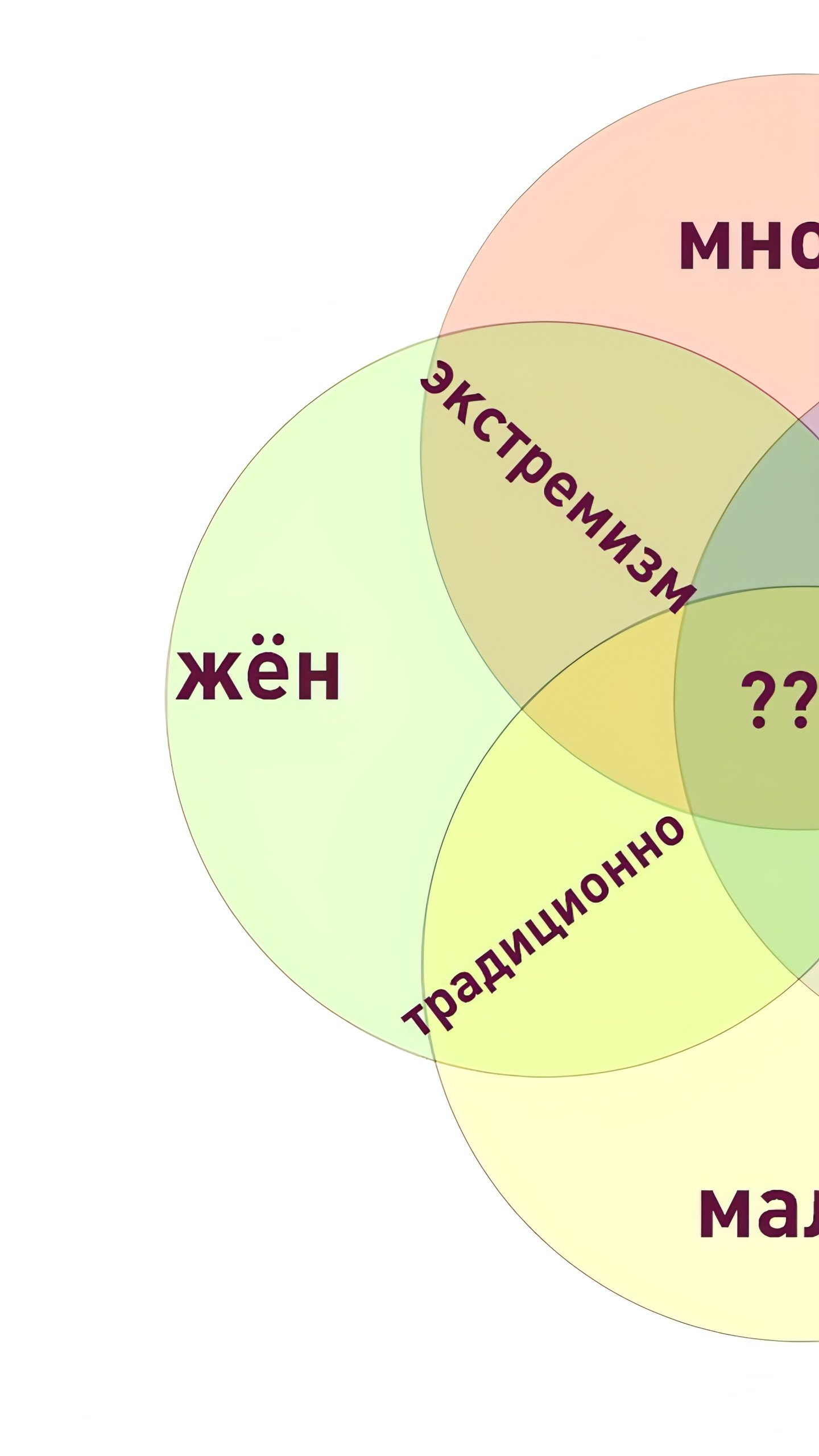 В Госдуму внесен законопроект о запрете пропаганды многоженства