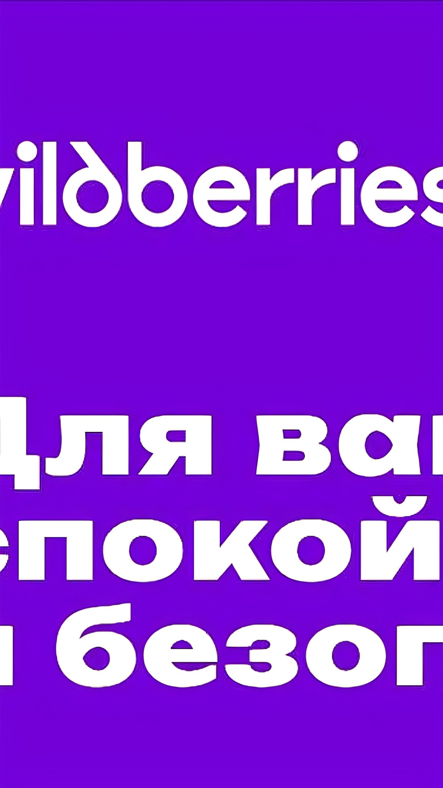 Wildberries и МЧС России запускают проект по безопасности пиротехники