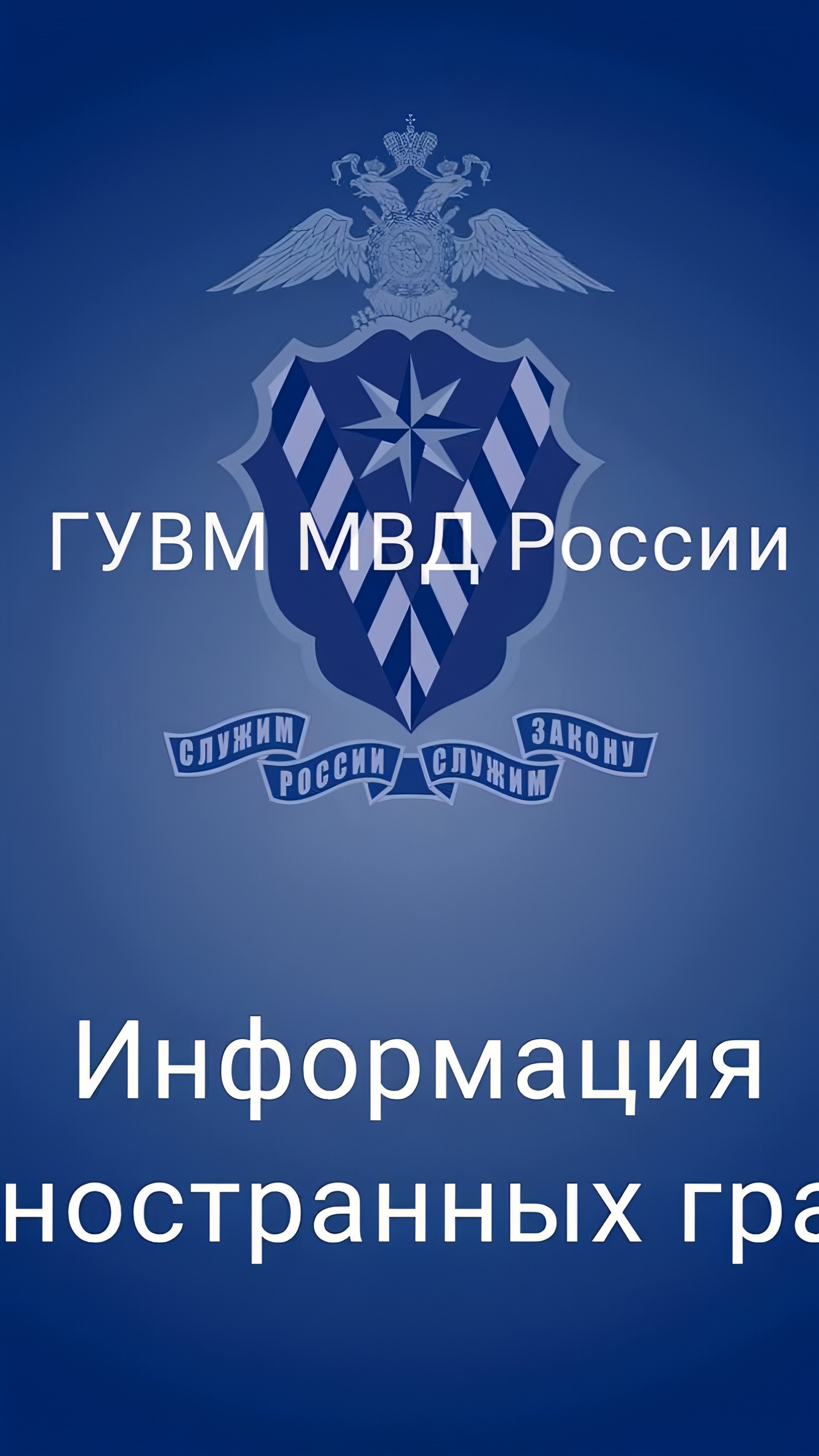 МИД России рассматривает увеличение срока действия электронной визы до 30 дней