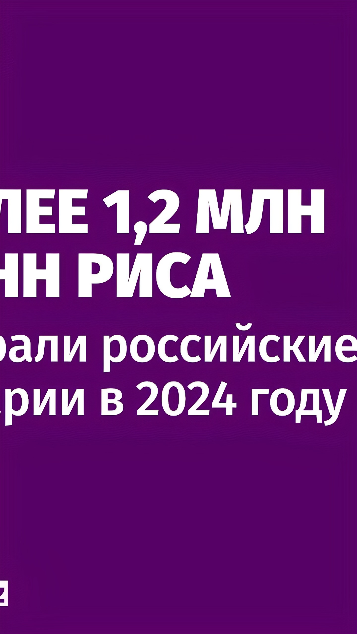 Российские аграрии установили новый рекорд по сбору риса в 2024 году