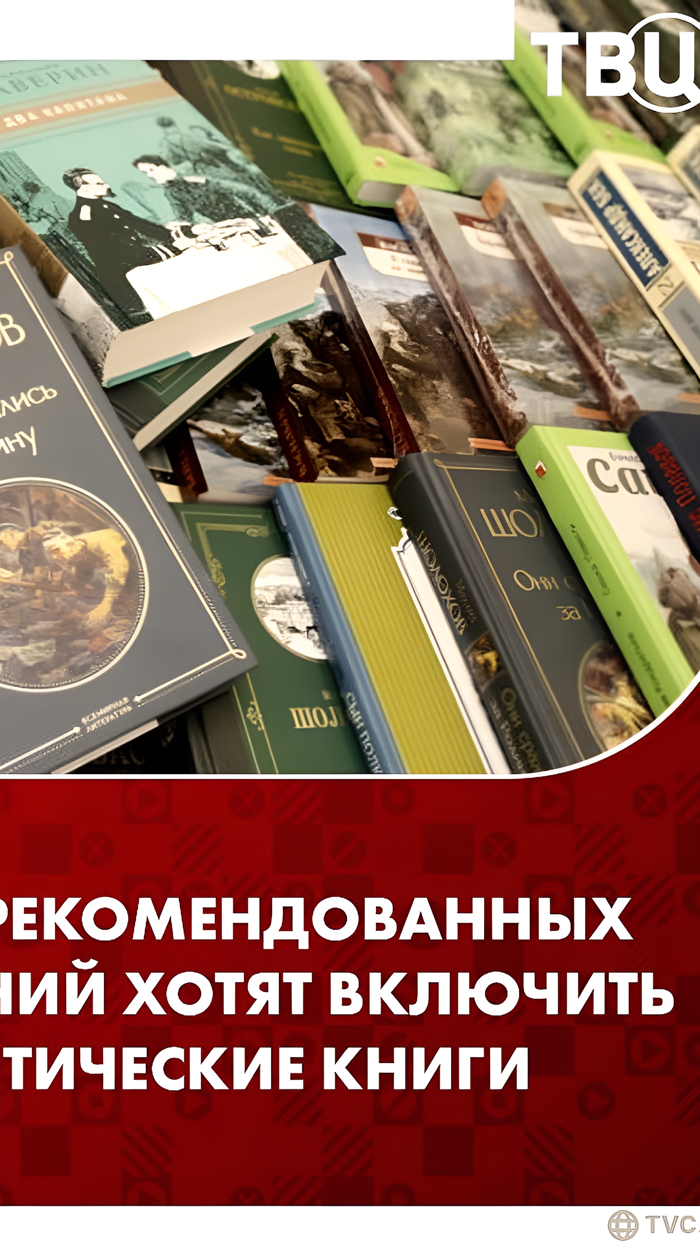 Путин инициирует включение патриотической литературы в внеклассное чтение