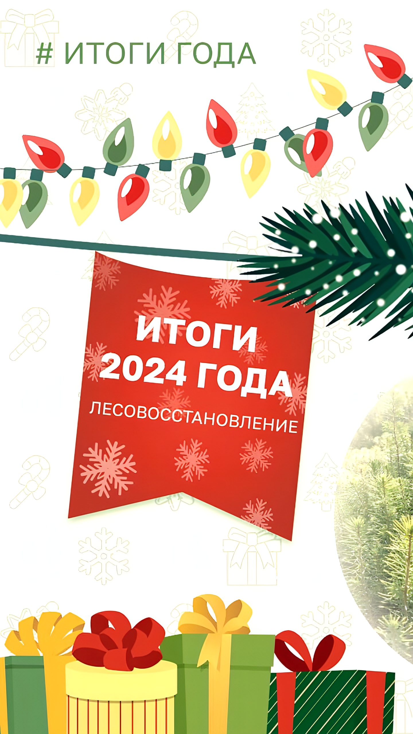 Оренбуржье восстанавливает рекордные площади лесов в рамках нацпроекта «Экология»