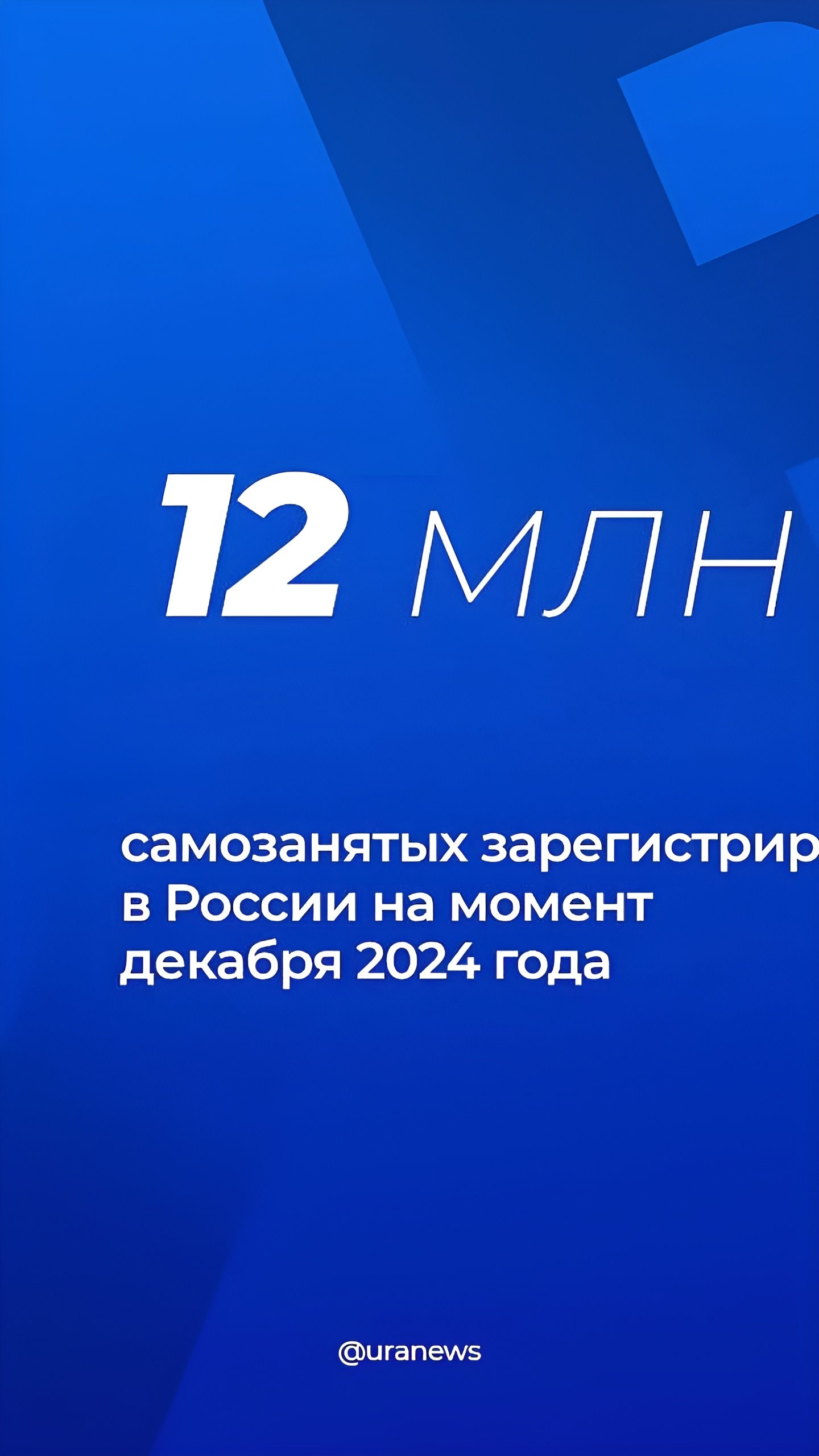 Число самозанятых в России превысило 12 миллионов по итогам декабря