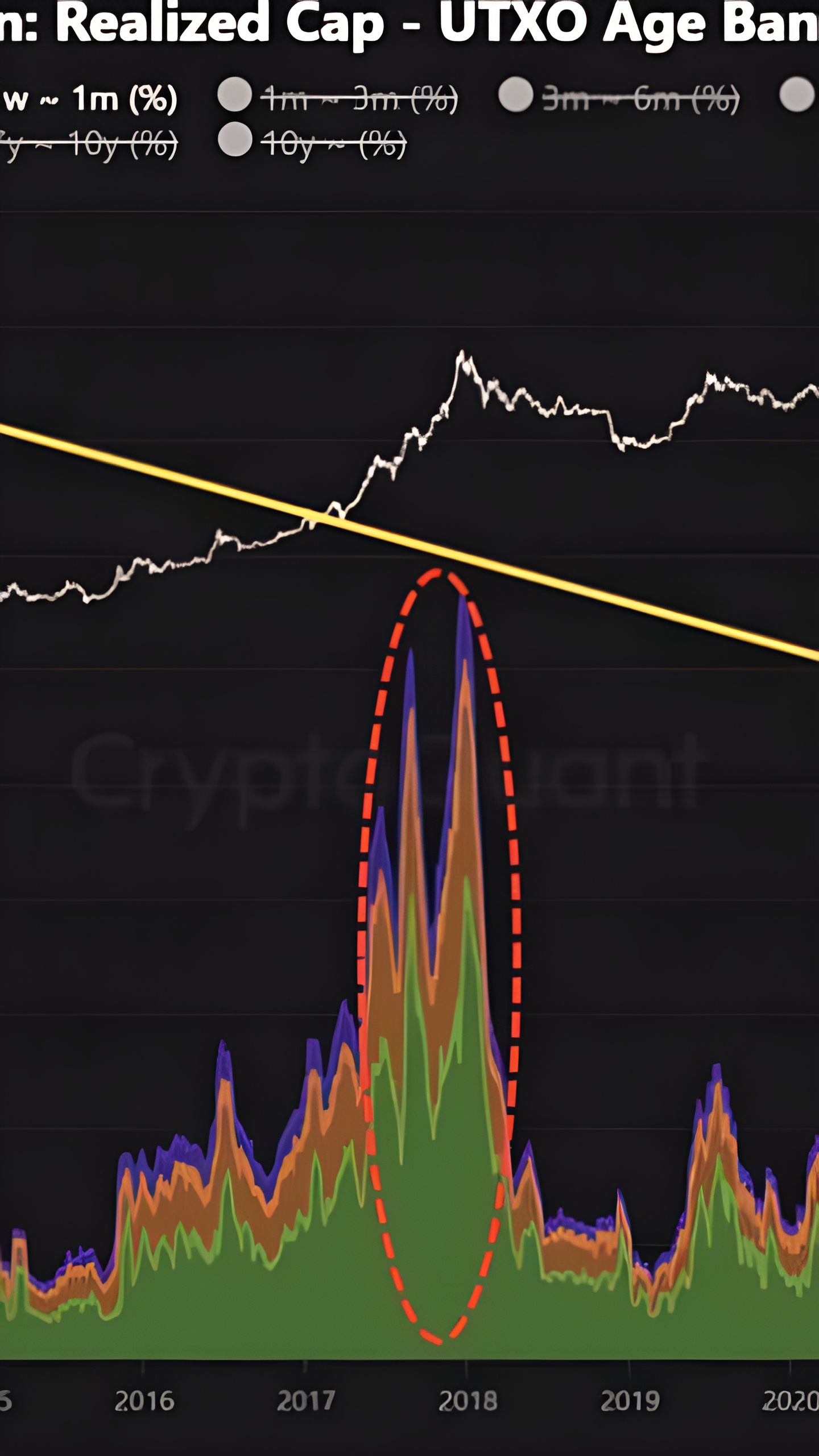 CEO Cryptoquant прогнозирует длительный бычий цикл для BTC