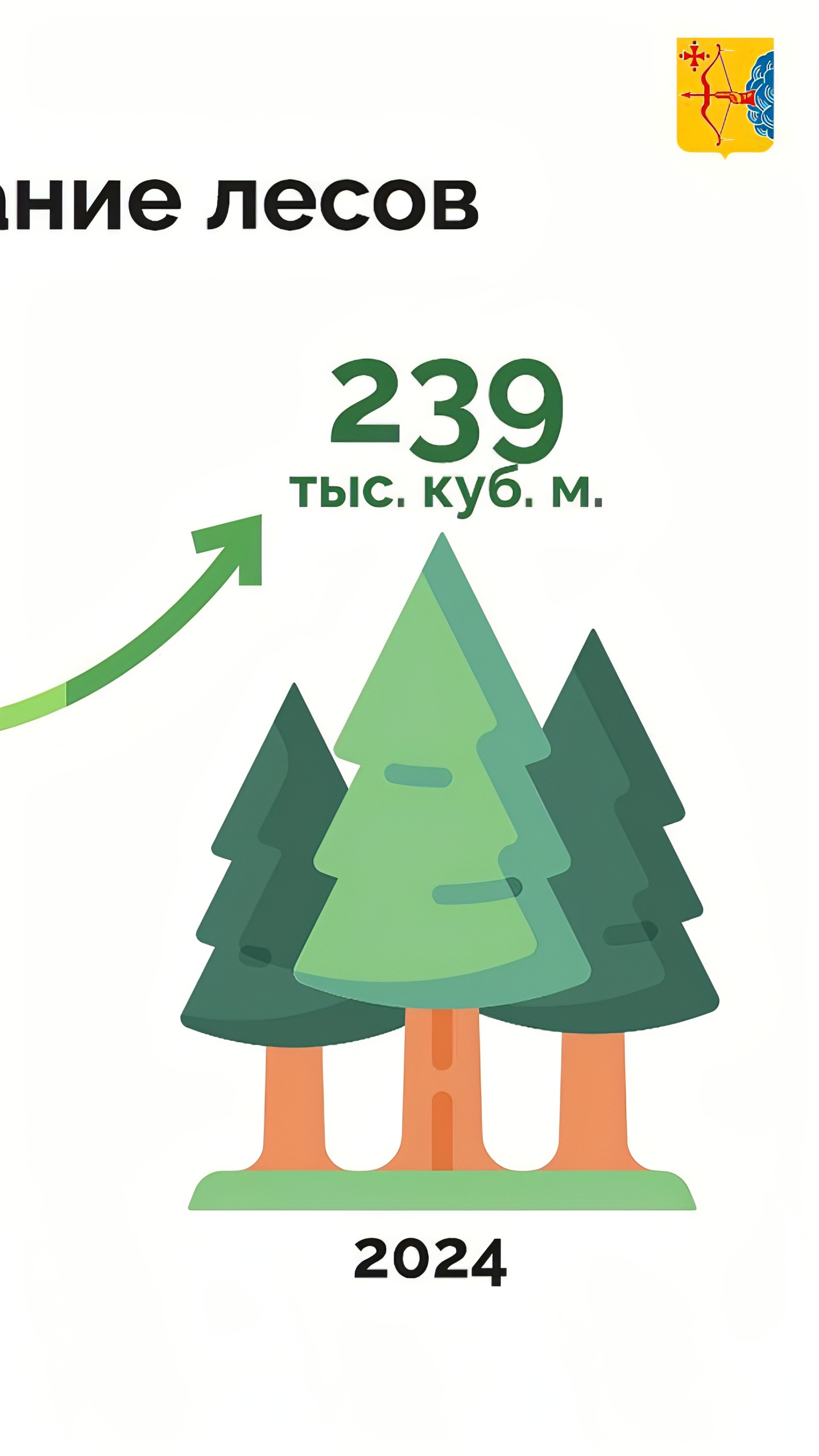 Увеличение лесных доходов в Кировской области и Башкирии в 2024 году