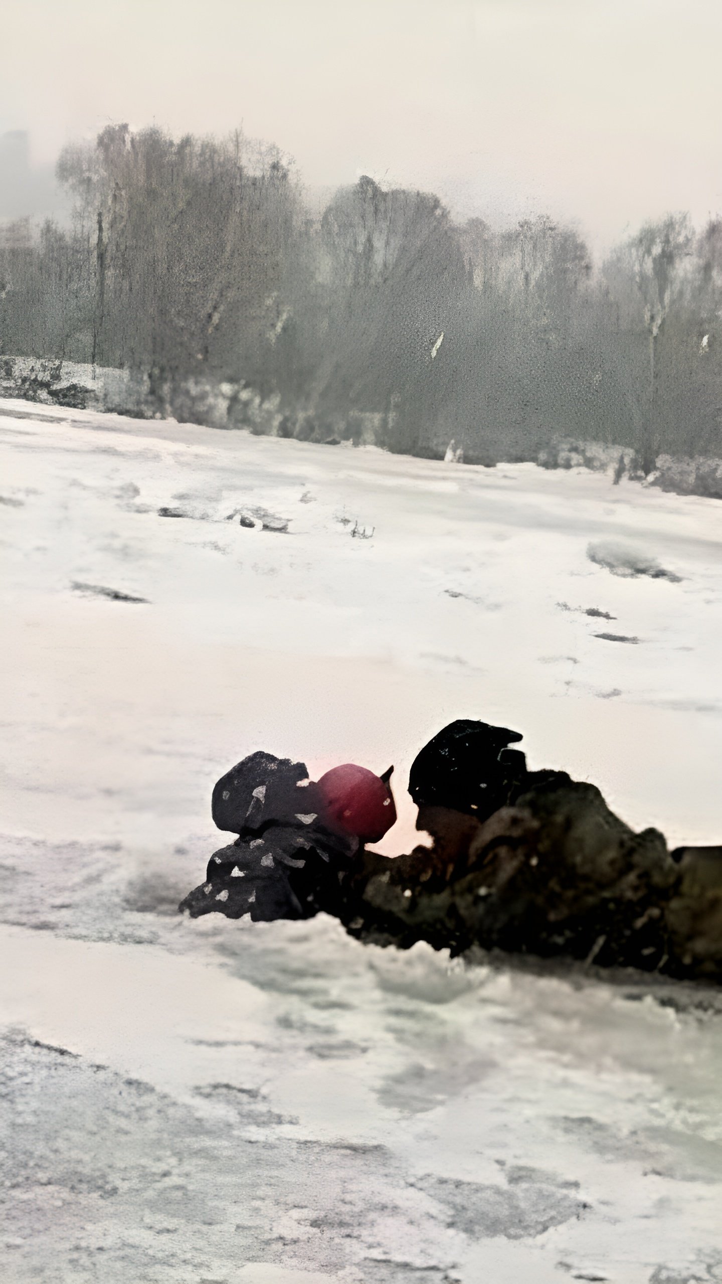 Прохожий спас девочку, провалившуюся под лёд в Новгороде