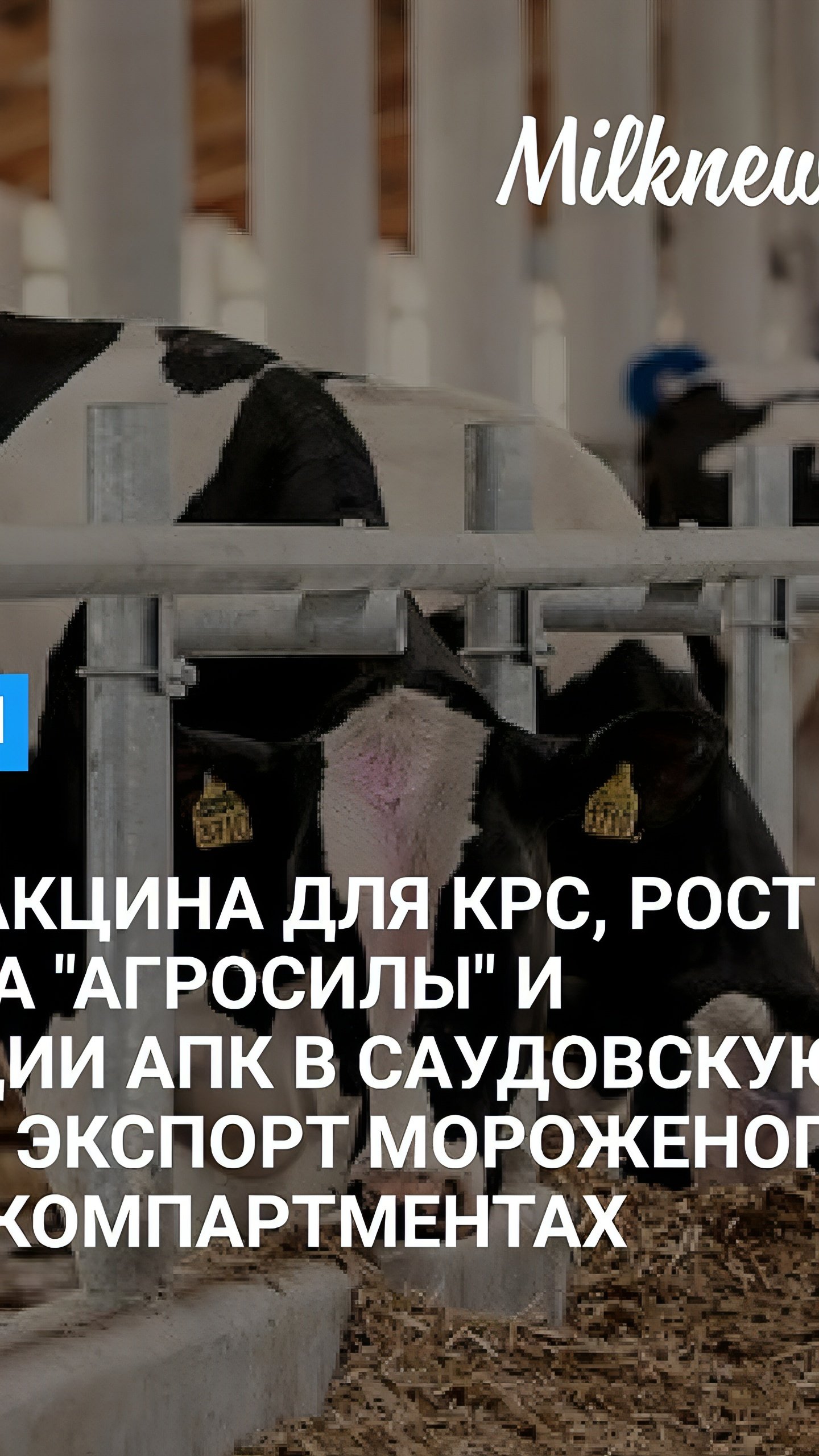 Россия увеличивает экспорт сельхозпродукции и мяса в 2024 году