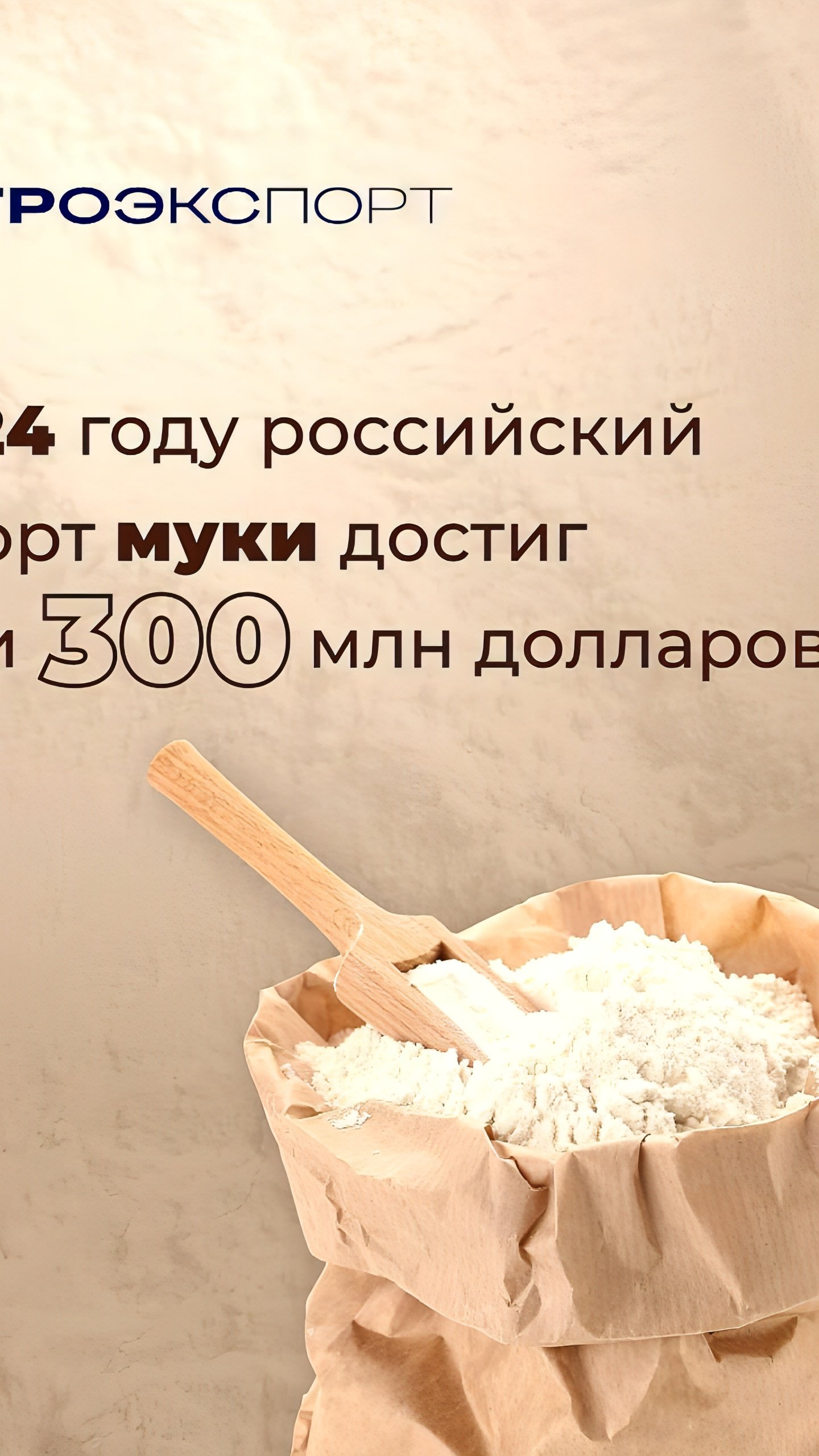 Урожай зерновых в России снизился, но экспорт вырос на 5,8% в 2024 году