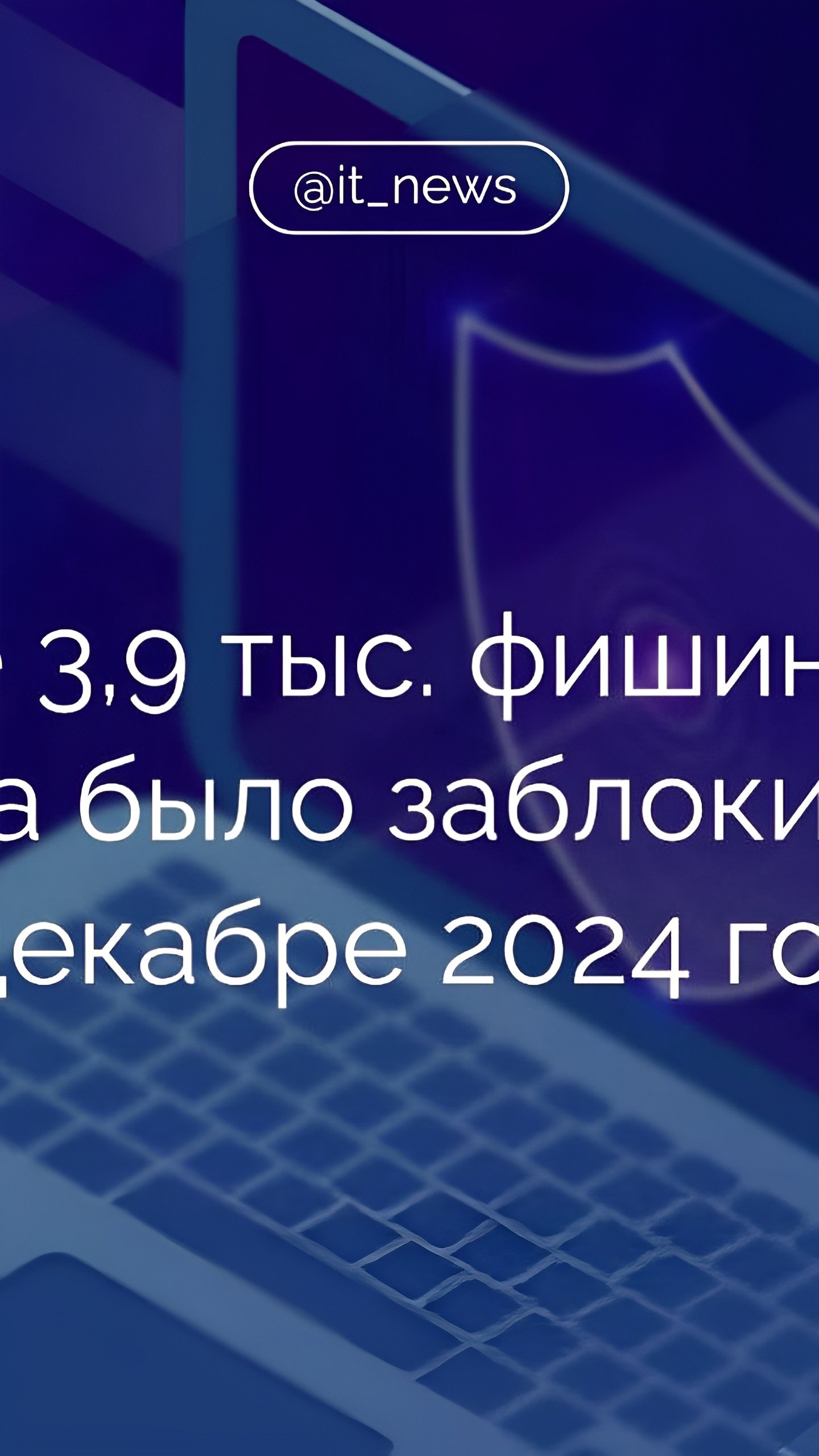 Центр мониторинга заблокировал почти 4000 фишинговых ресурсов и отразил 535 DDoS-атак в декабре 2024 года