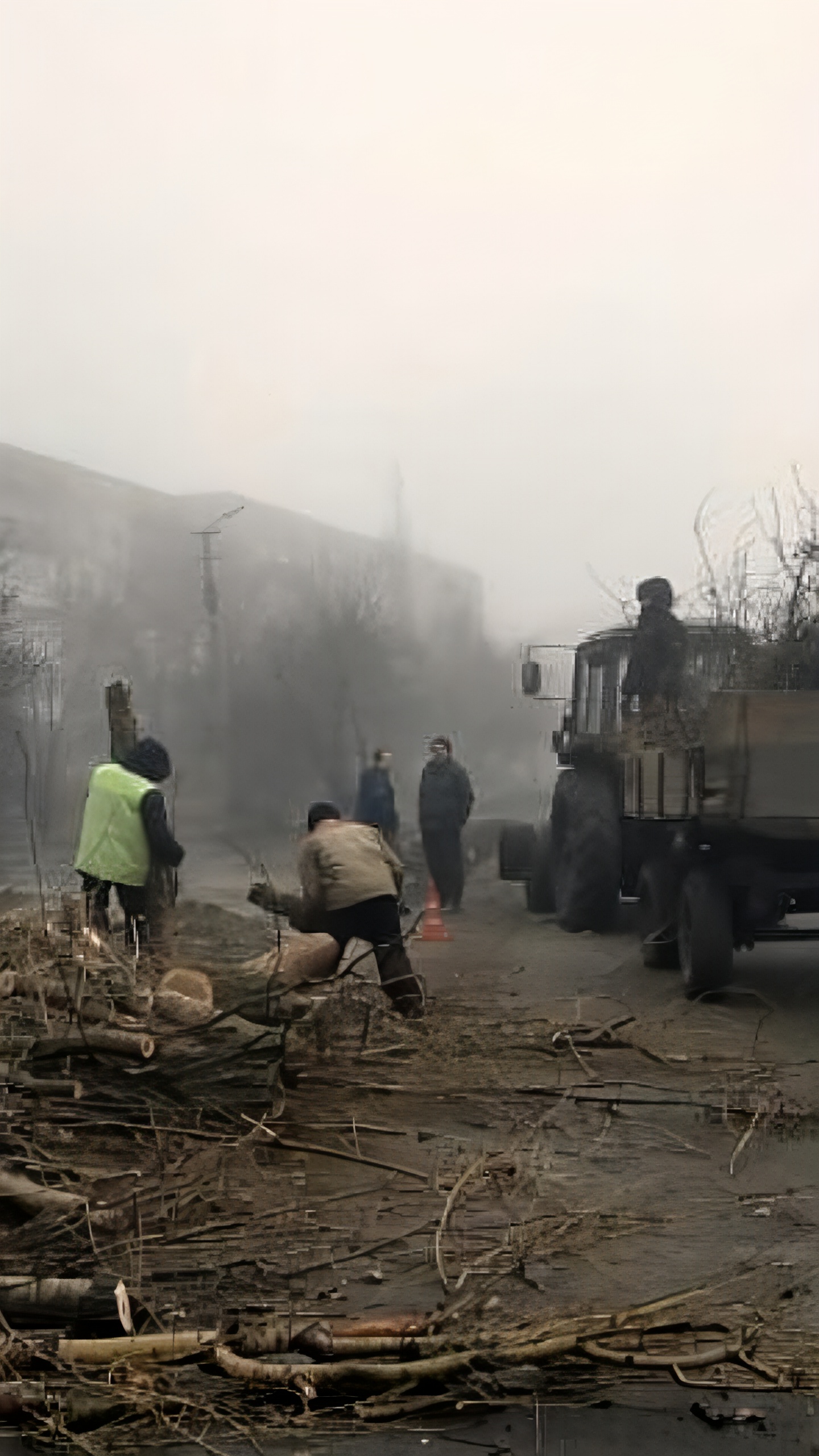 Уборка аварийных деревьев продолжается в Барнауле и селе Прибрежное