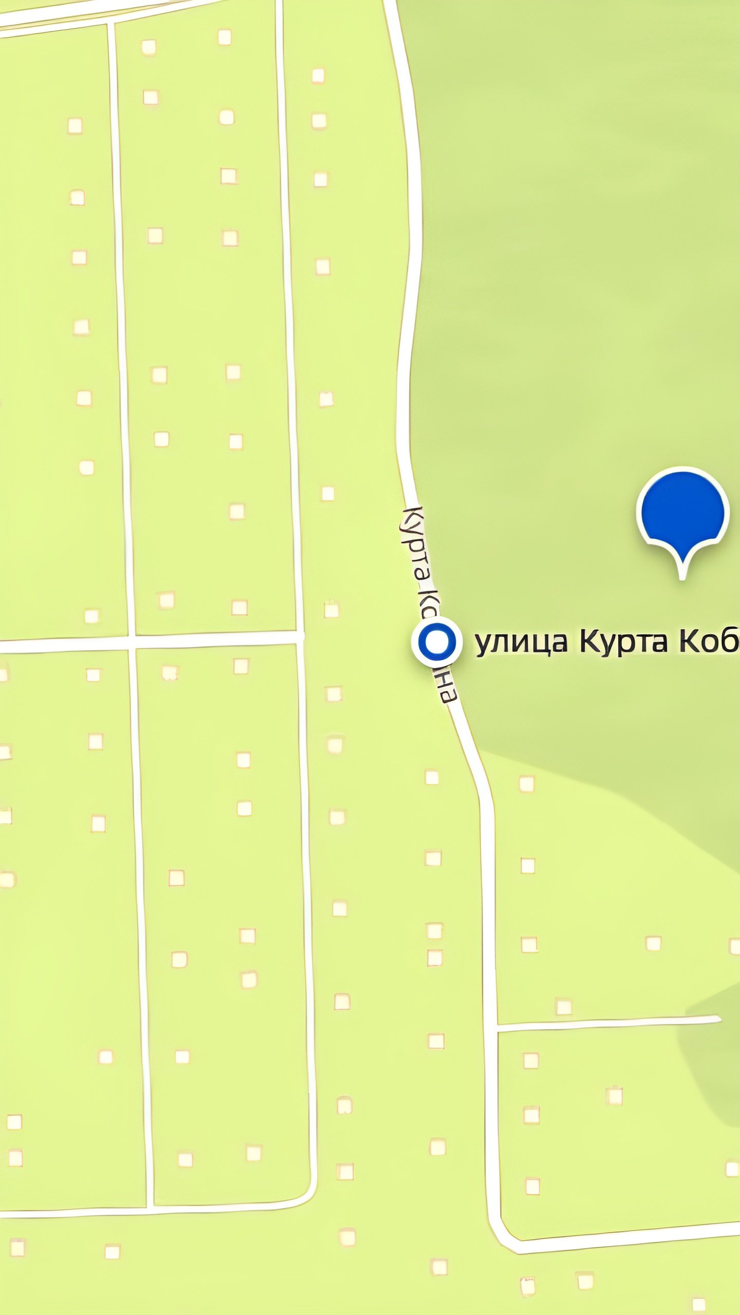 В Перми улицу назвали в честь Курта Кобейна