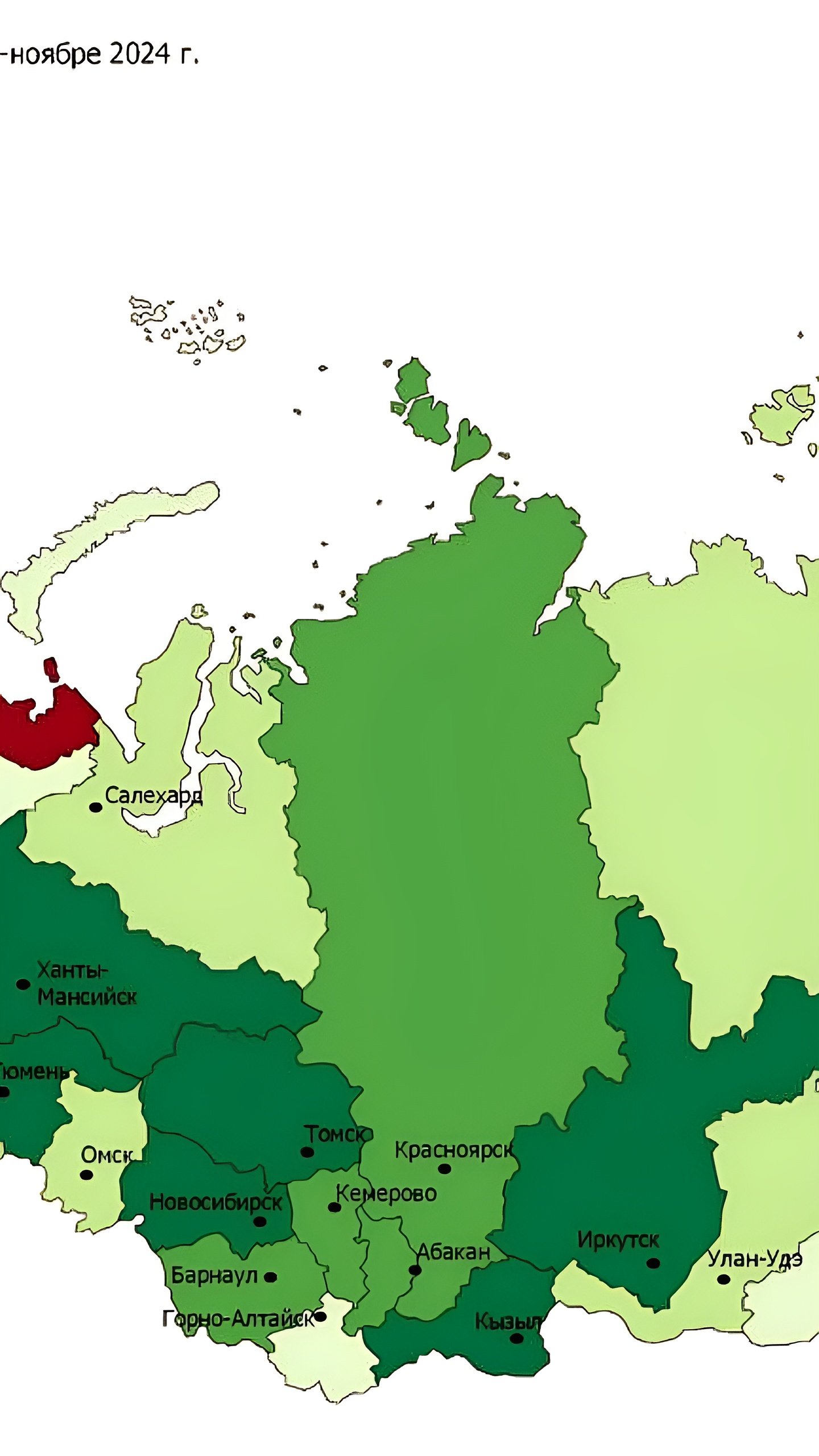 Рост розничной торговли в России за 2024 год: Адыгея лидирует, Севастополь и Архангельская область показывают низкие результаты