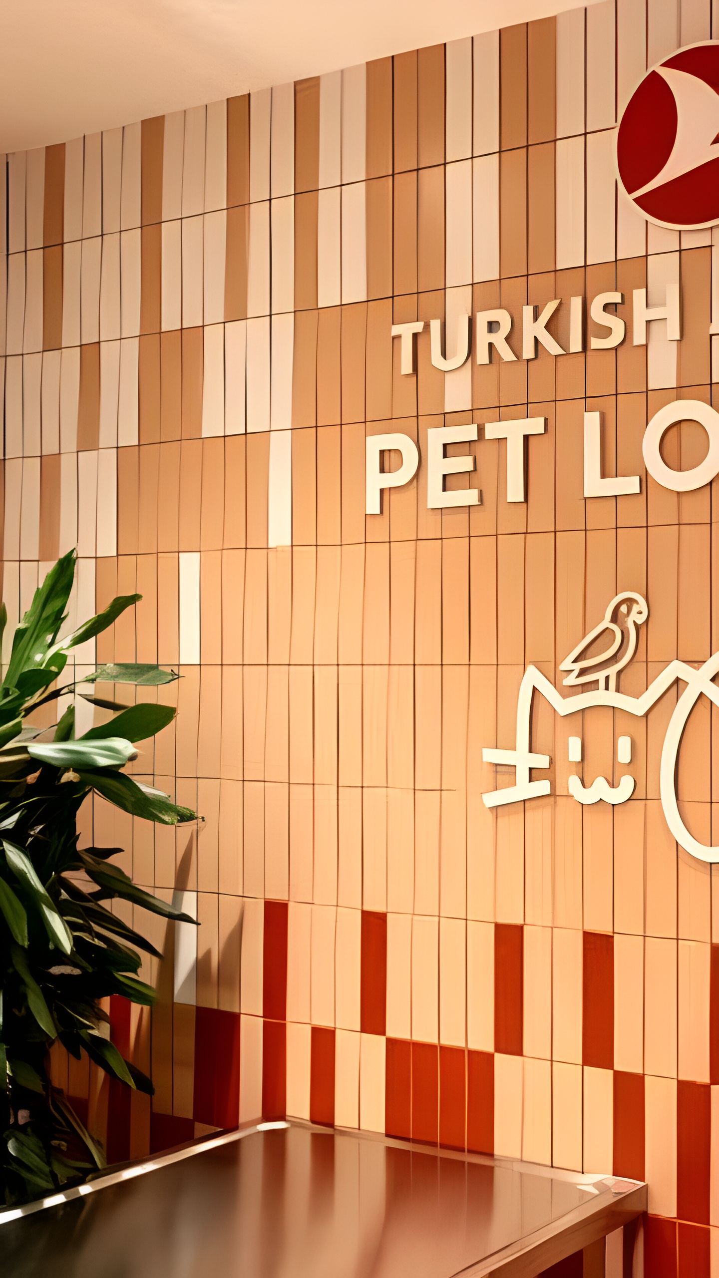 В Стамбуле открыт Pet Lounge для домашних животных от Turkish Airlines